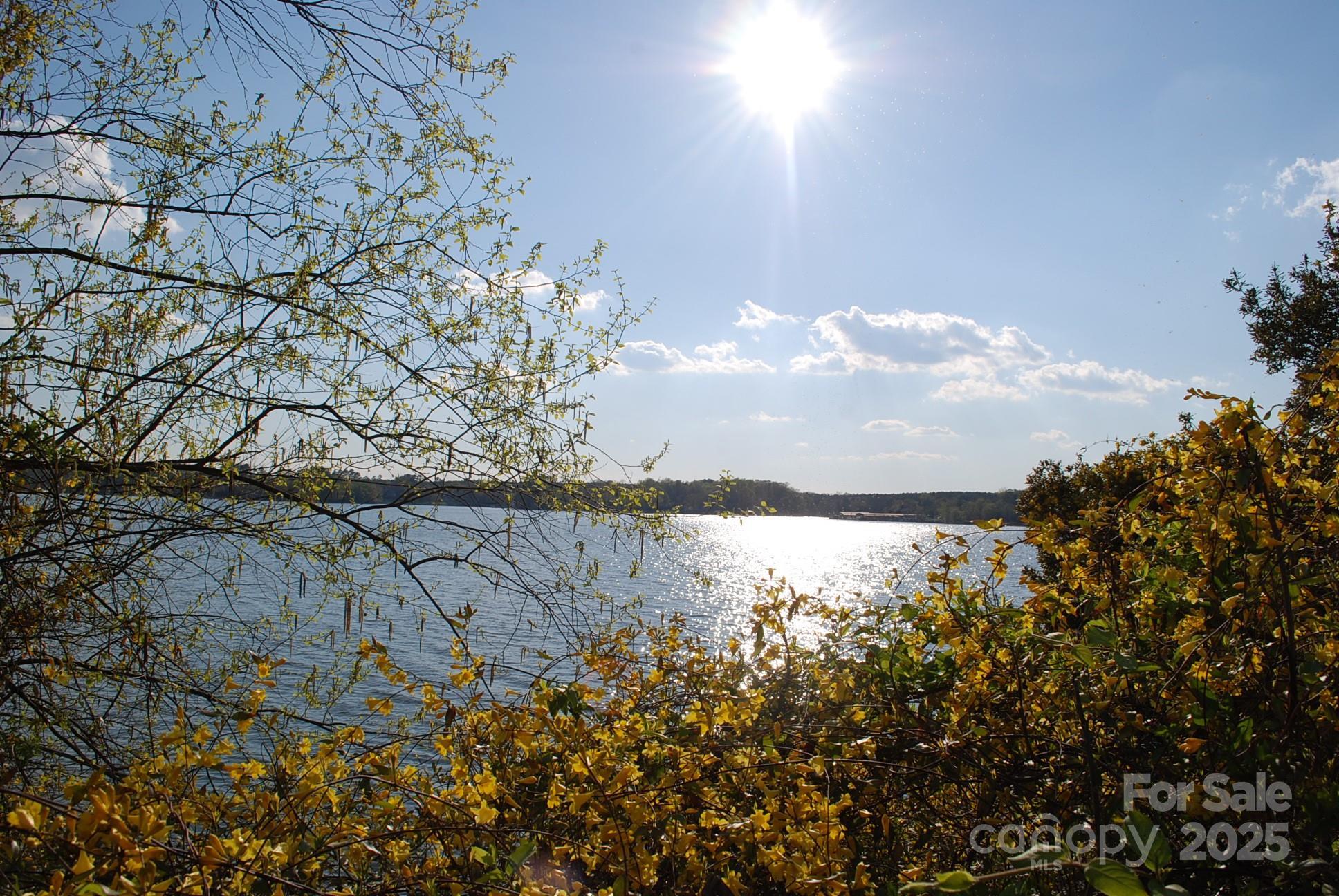 Photo #45
