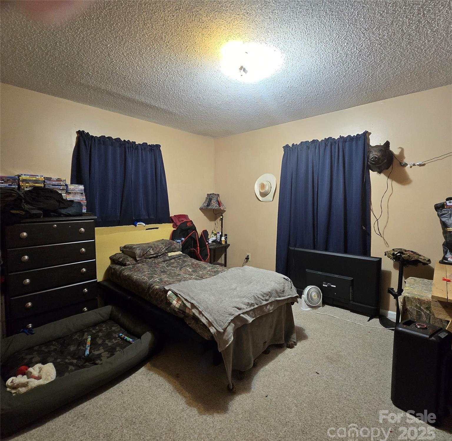 Photo #25