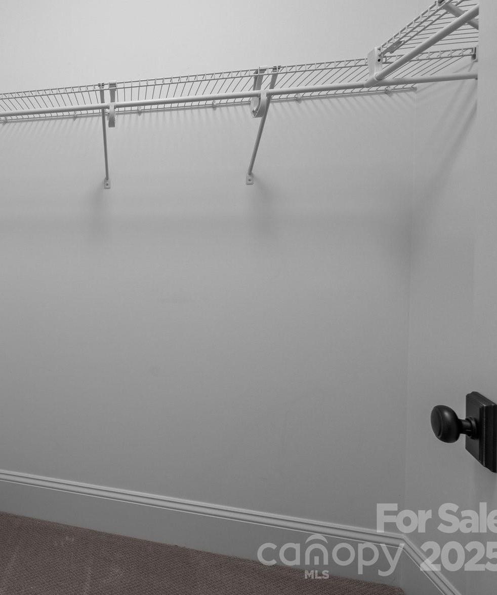 Photo #38