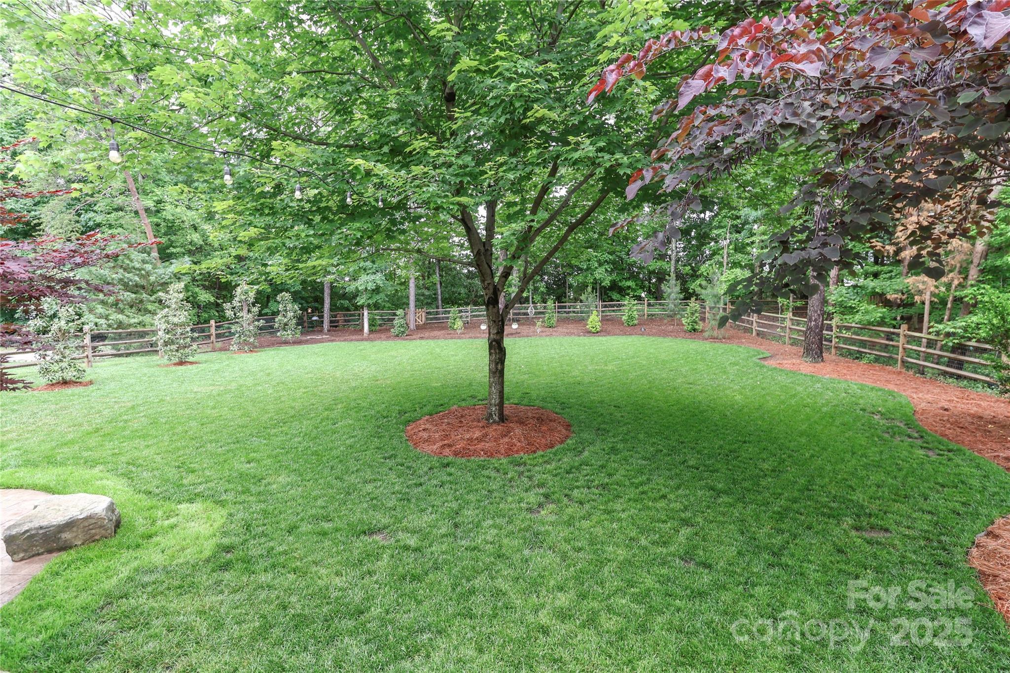 Photo #43