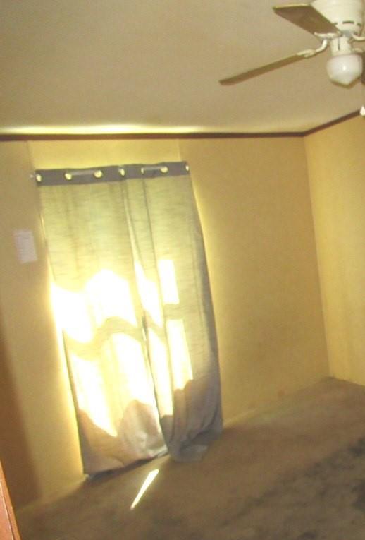 Photo #10