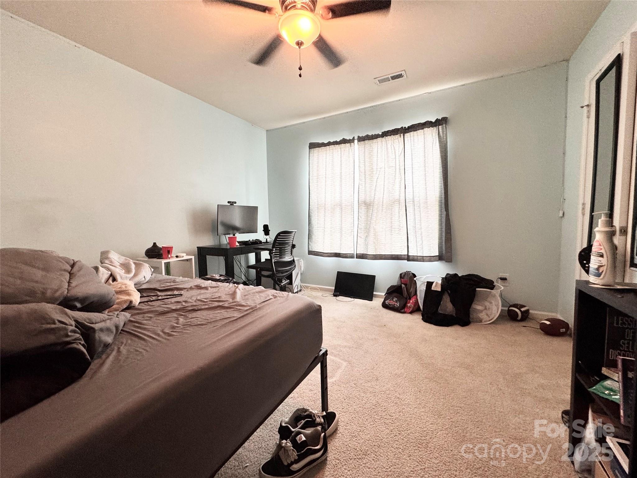 Photo #15