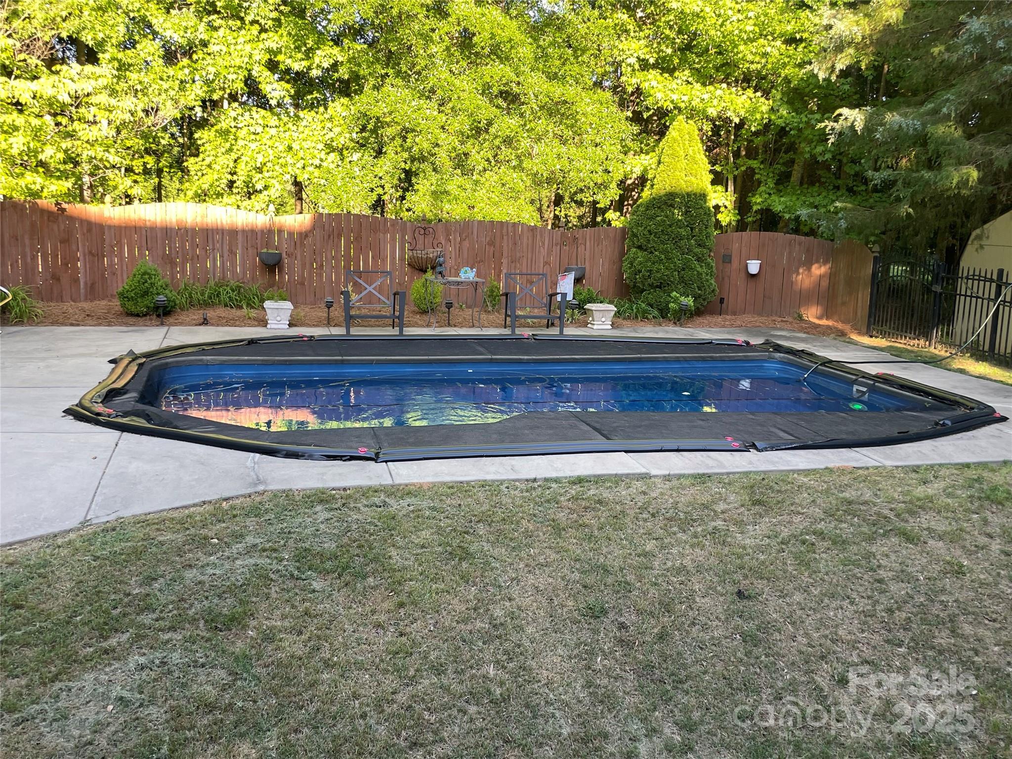 Photo #3