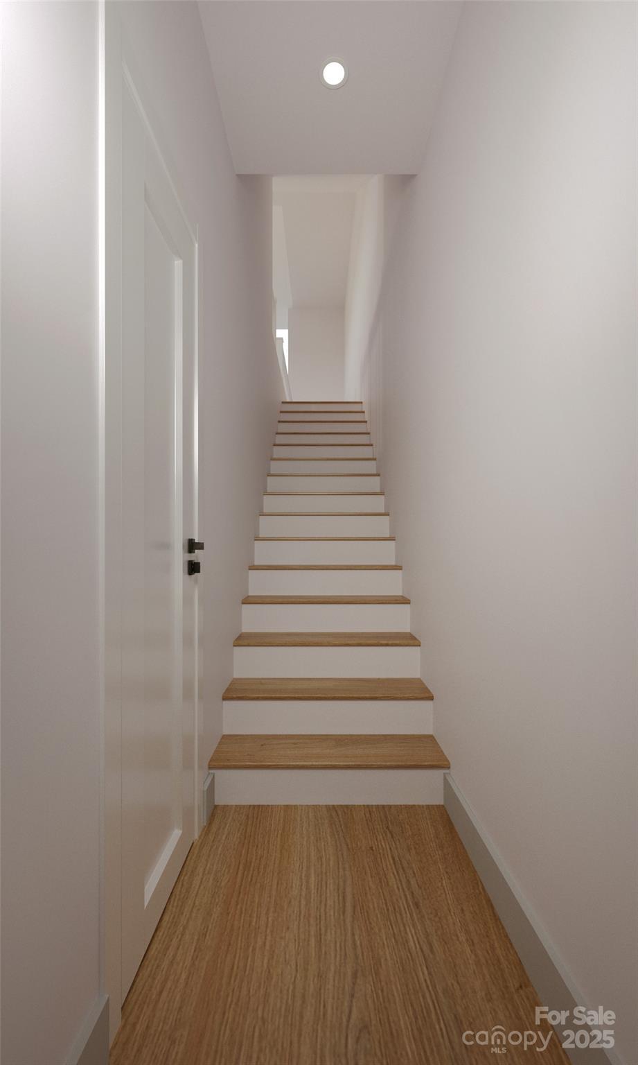Photo #5