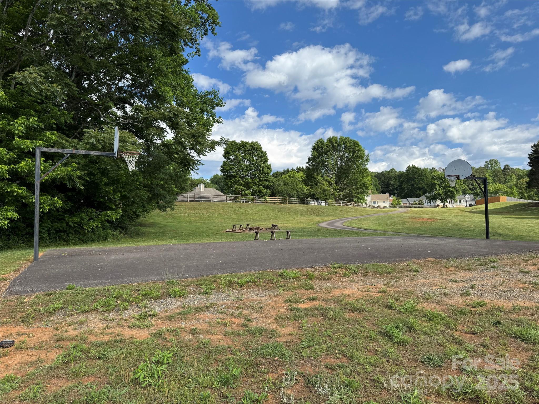 Photo #43