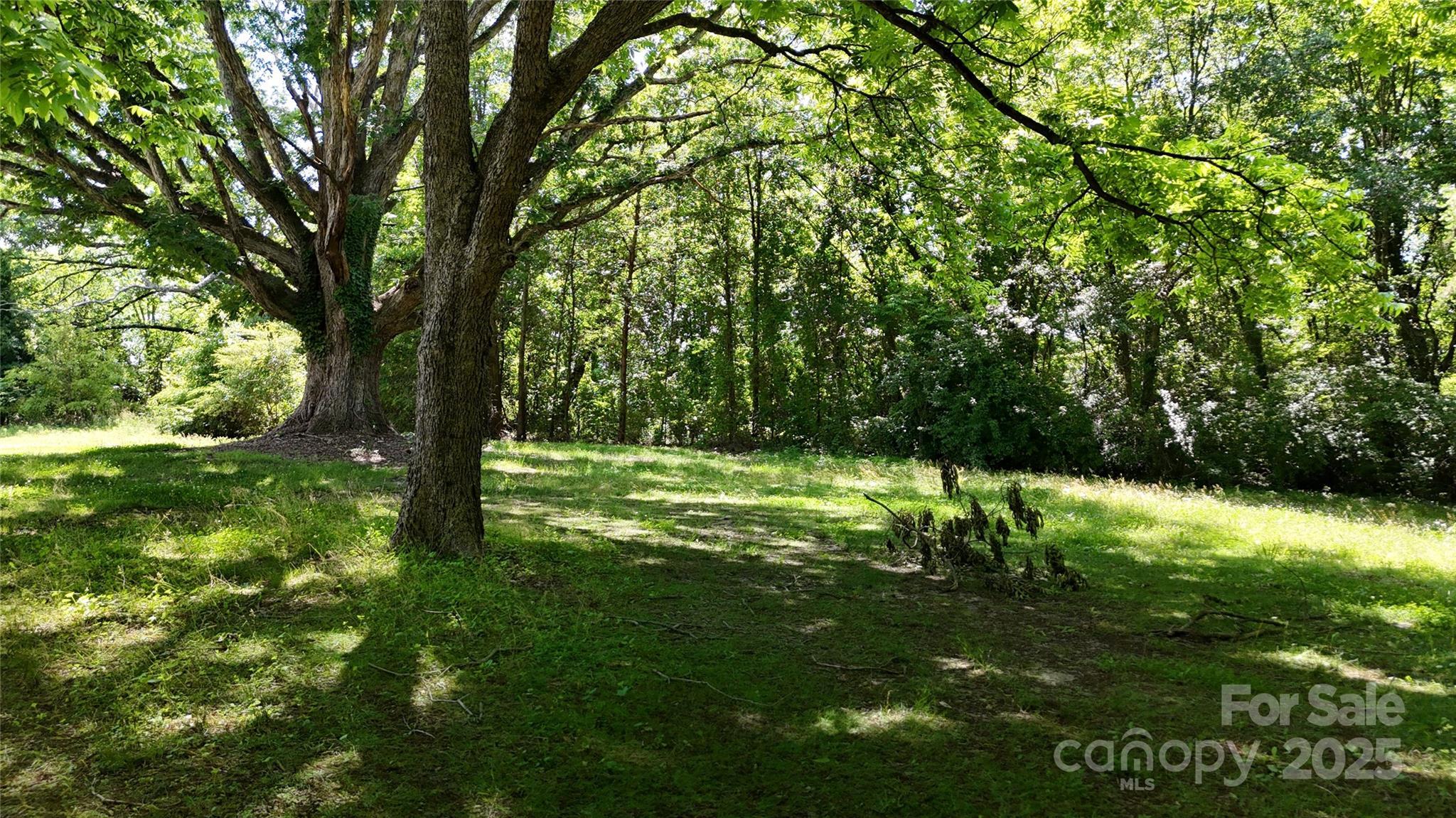 Photo #5