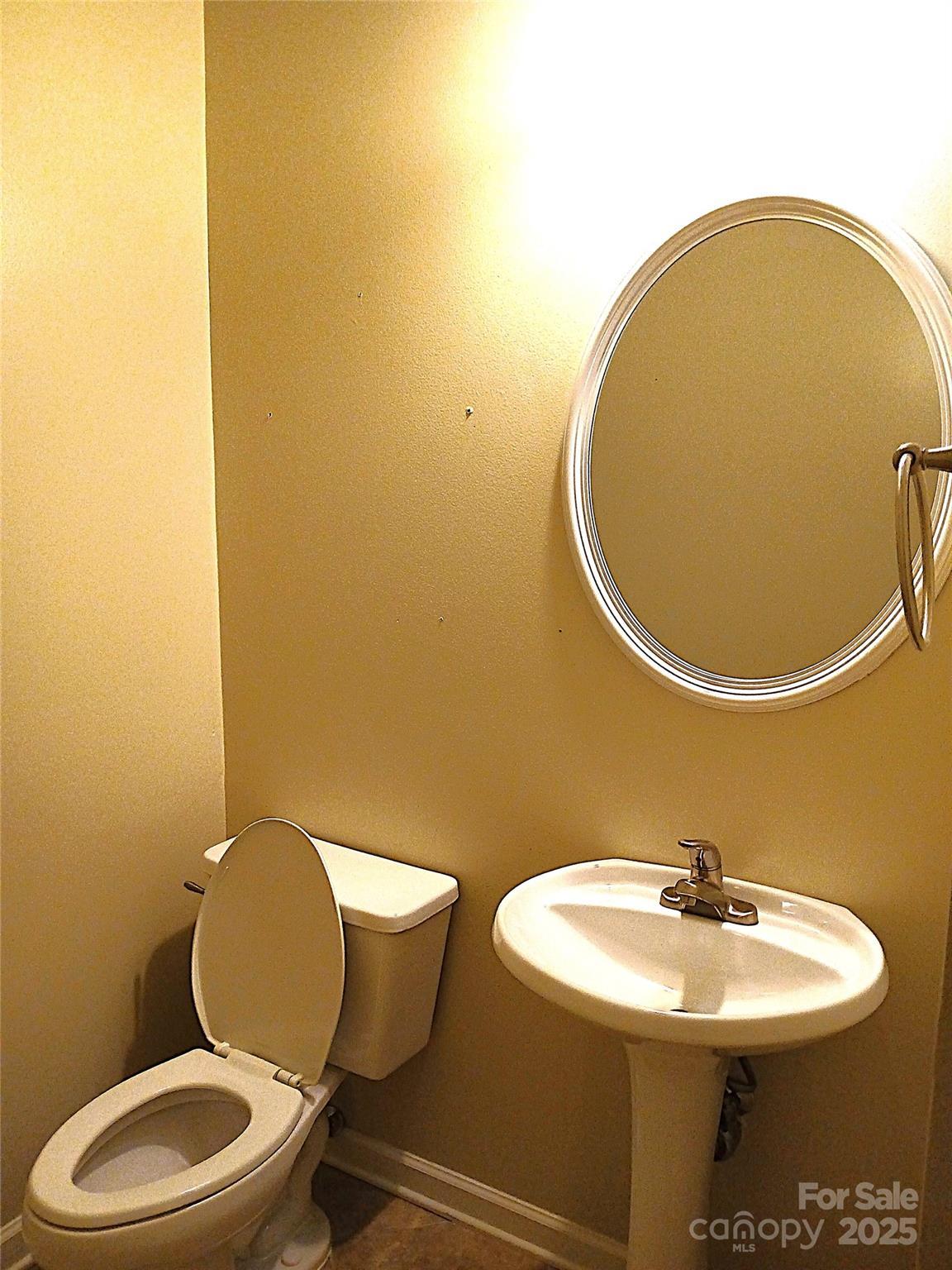 Photo #15