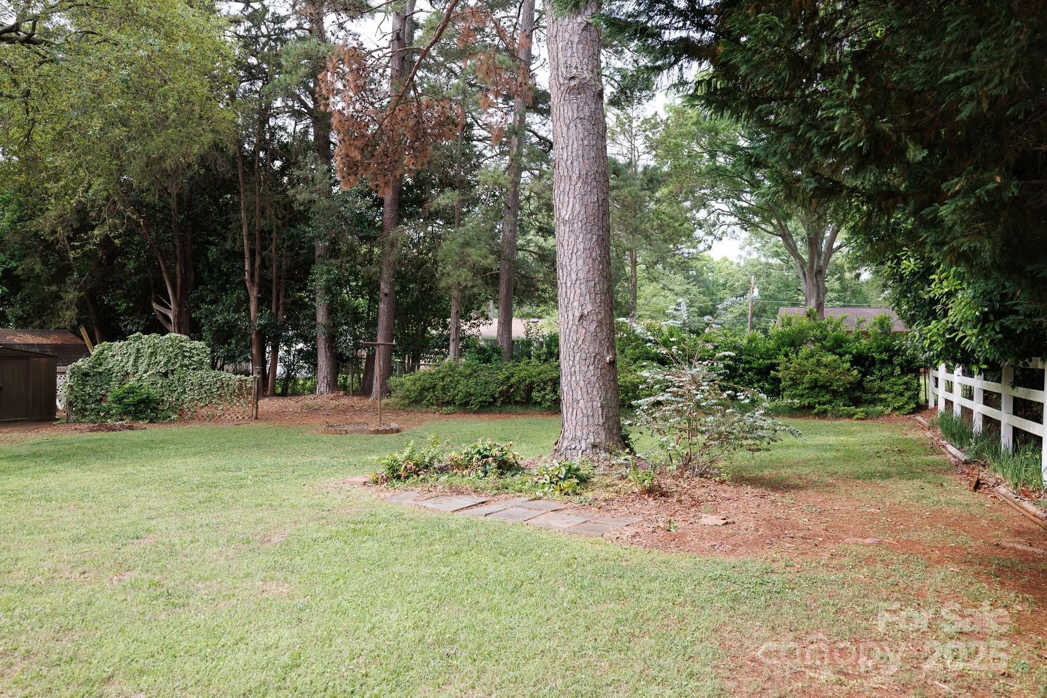 Photo #28
