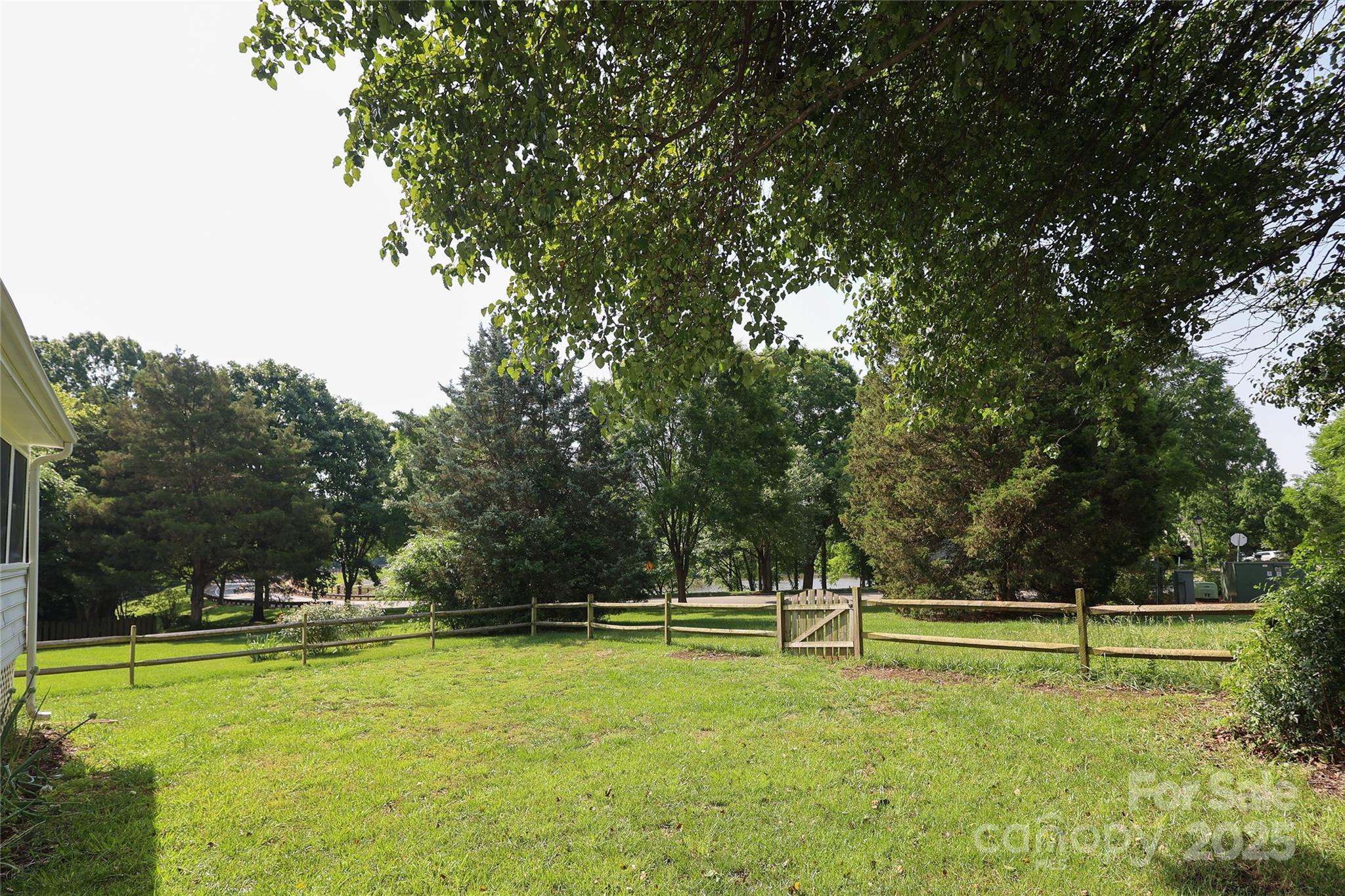Photo #41