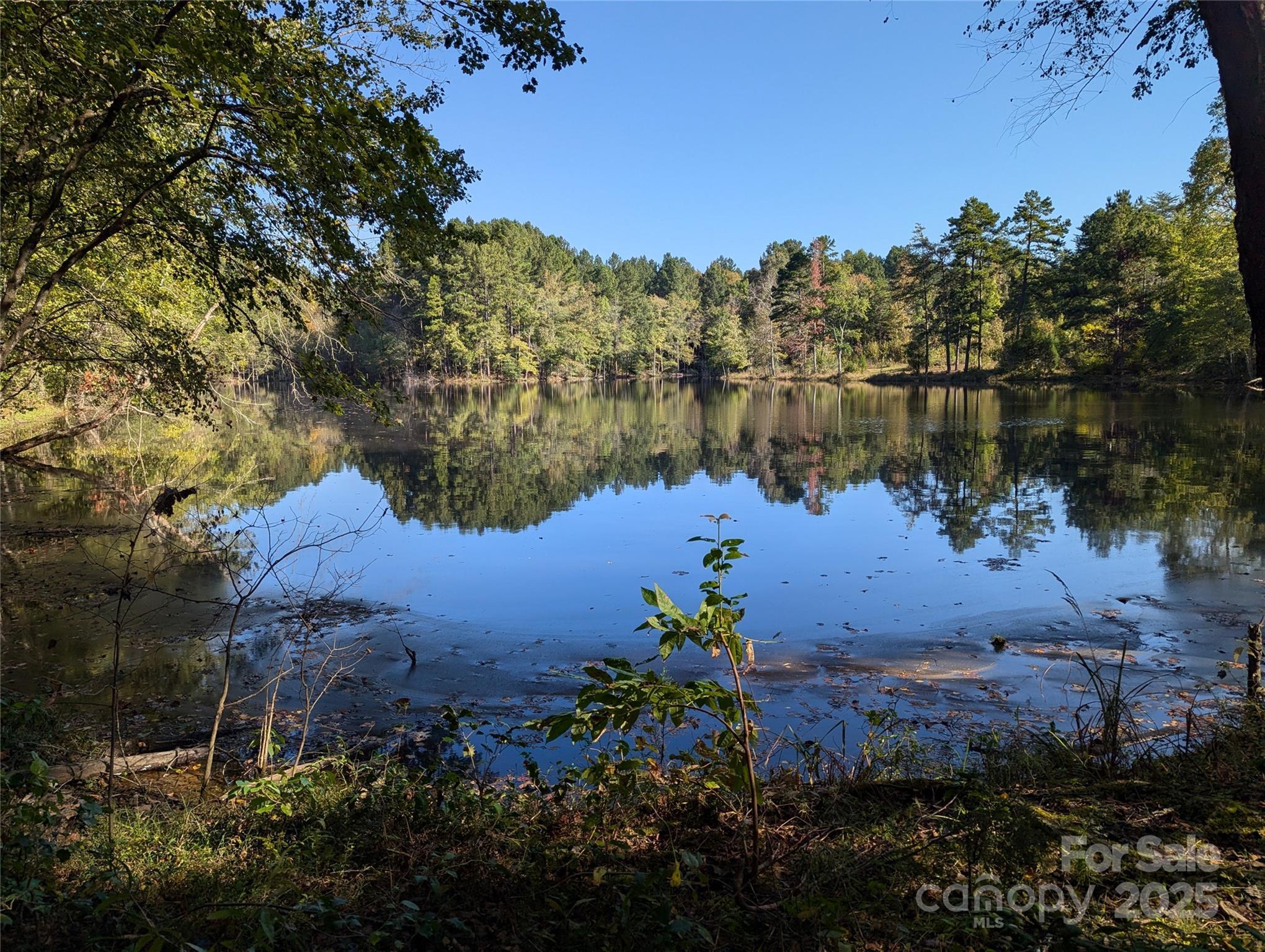 Photo #45