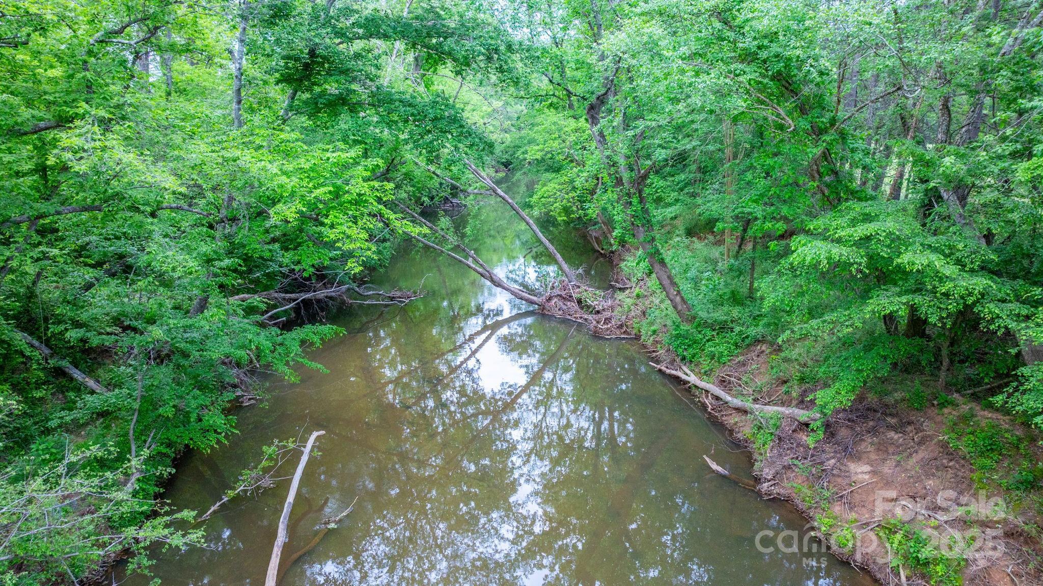 Photo #13
