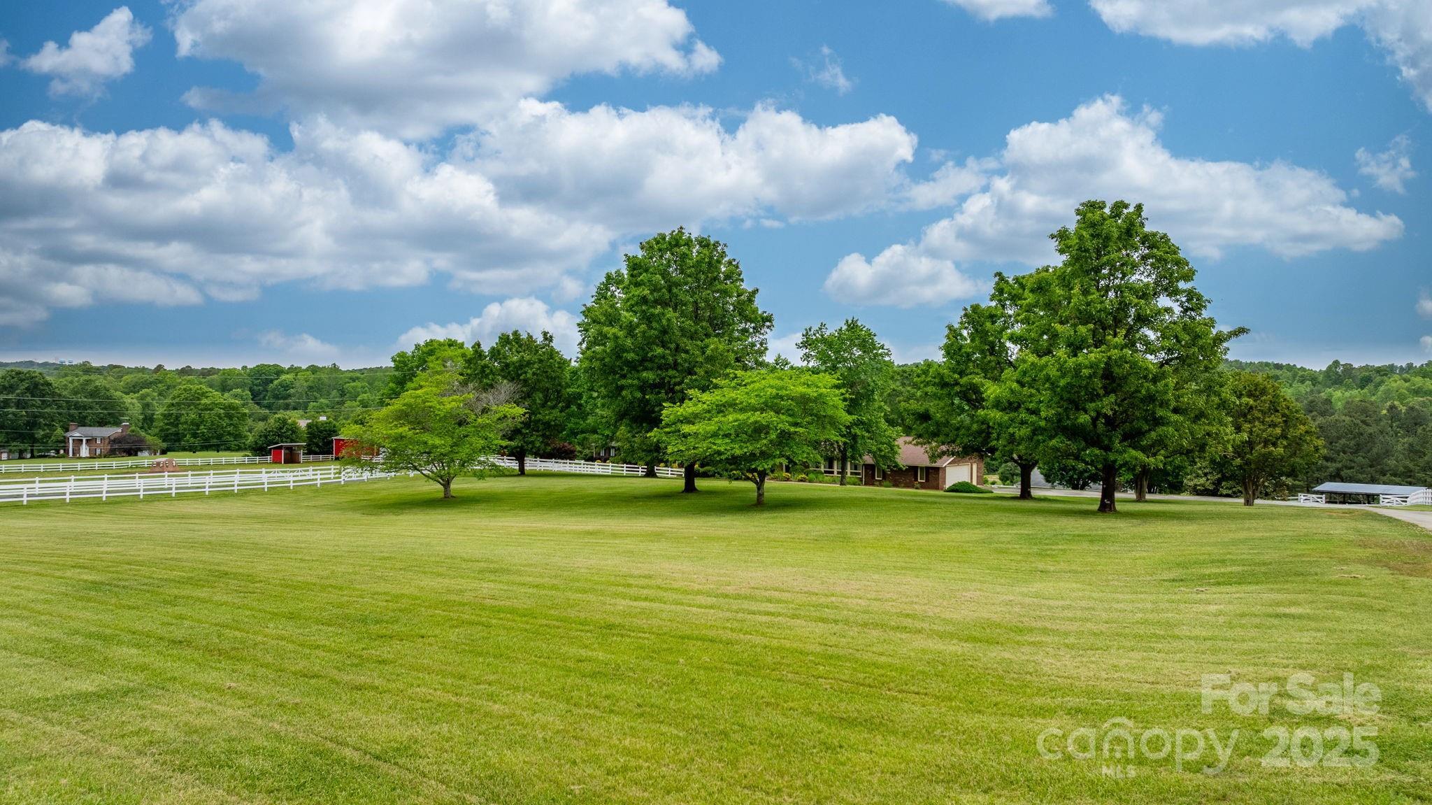Photo #46