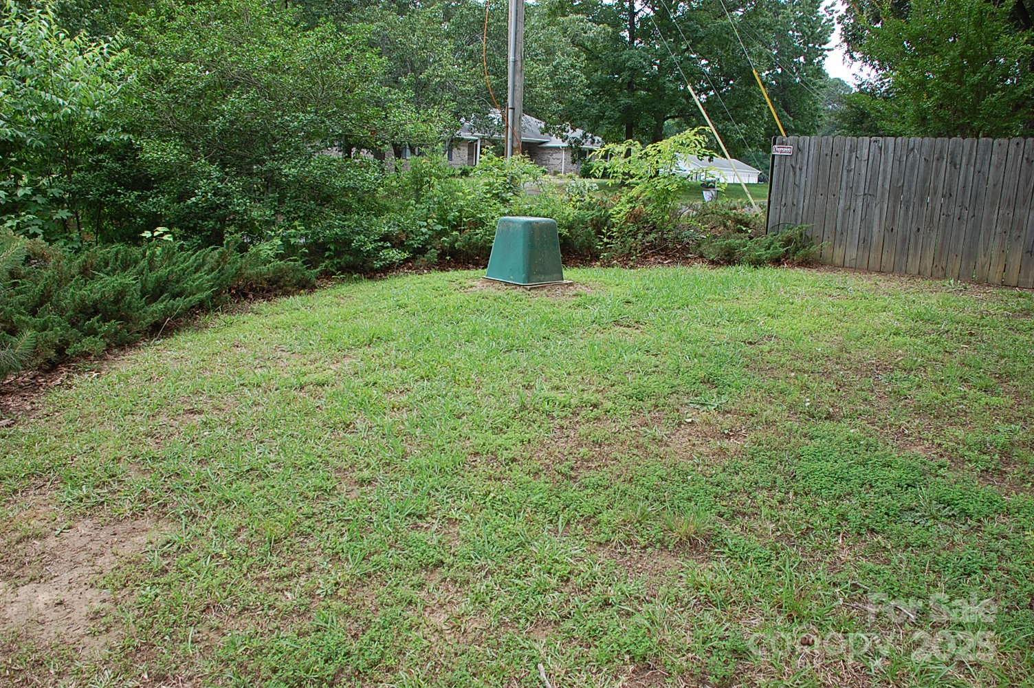 Photo #31