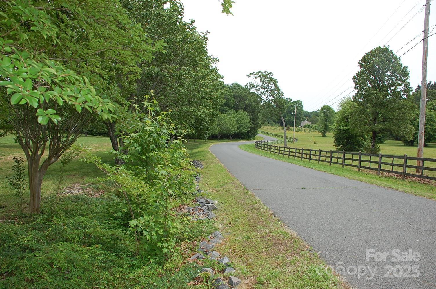 Photo #38