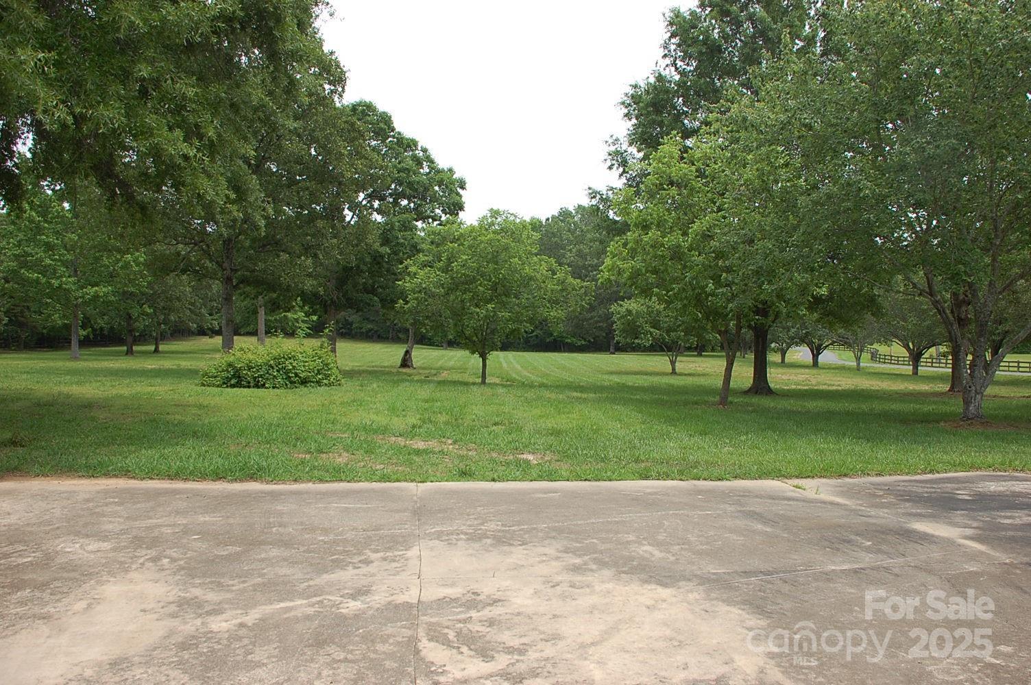 Photo #37