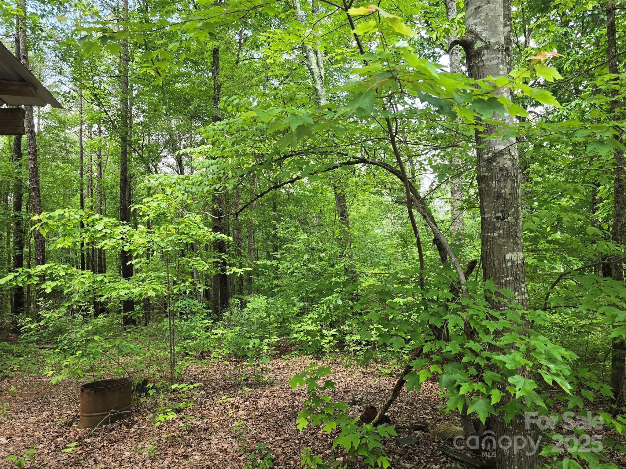 Photo #39