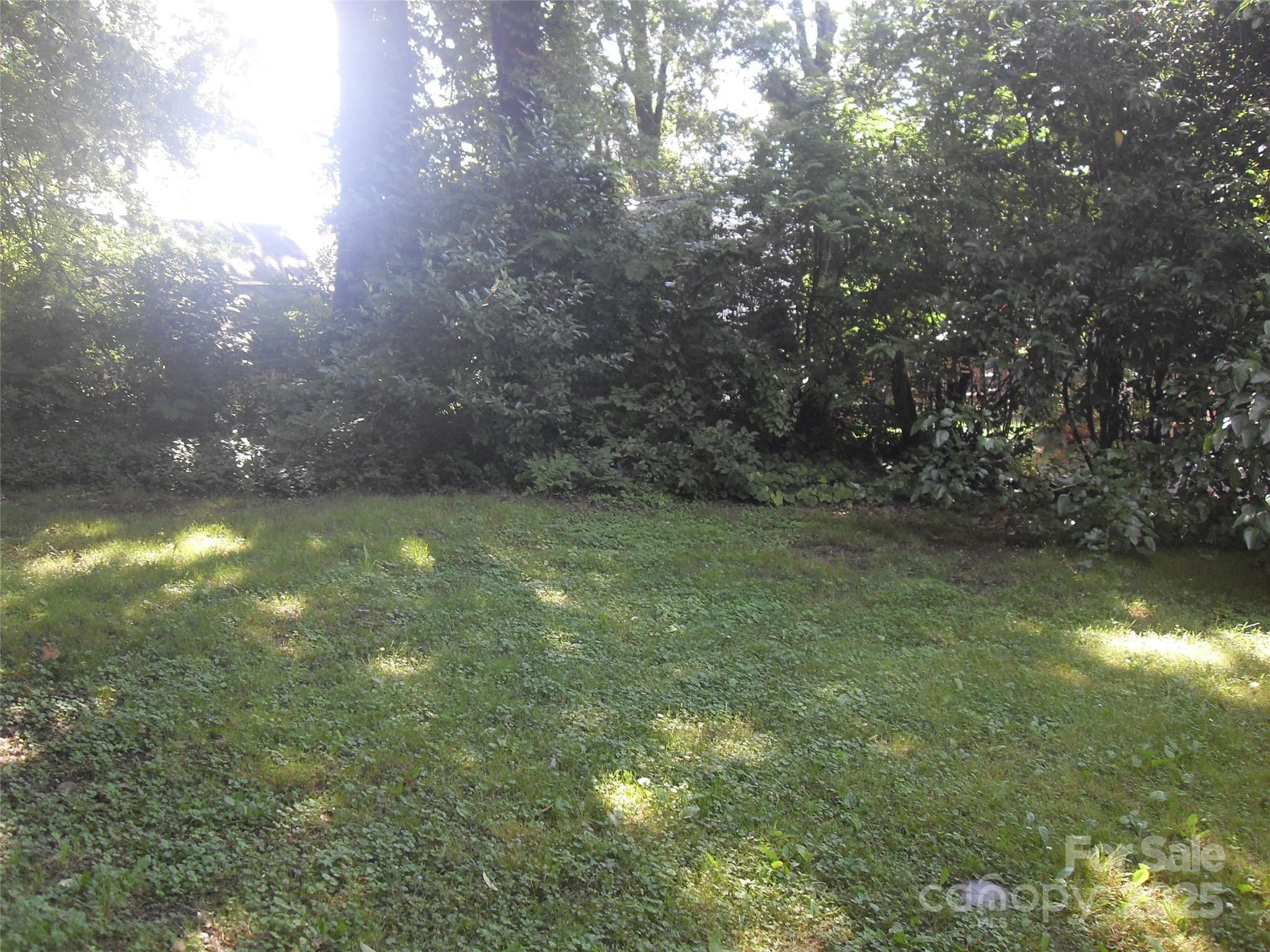 Photo #10