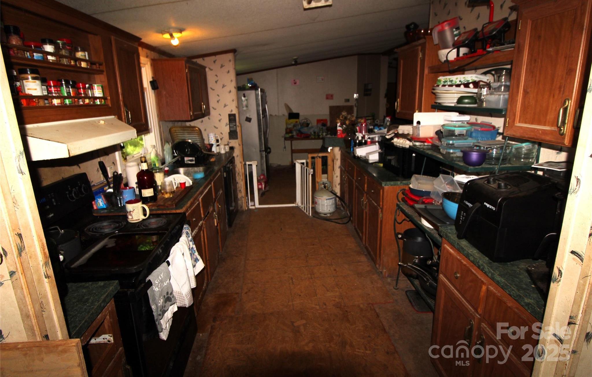 Photo #8