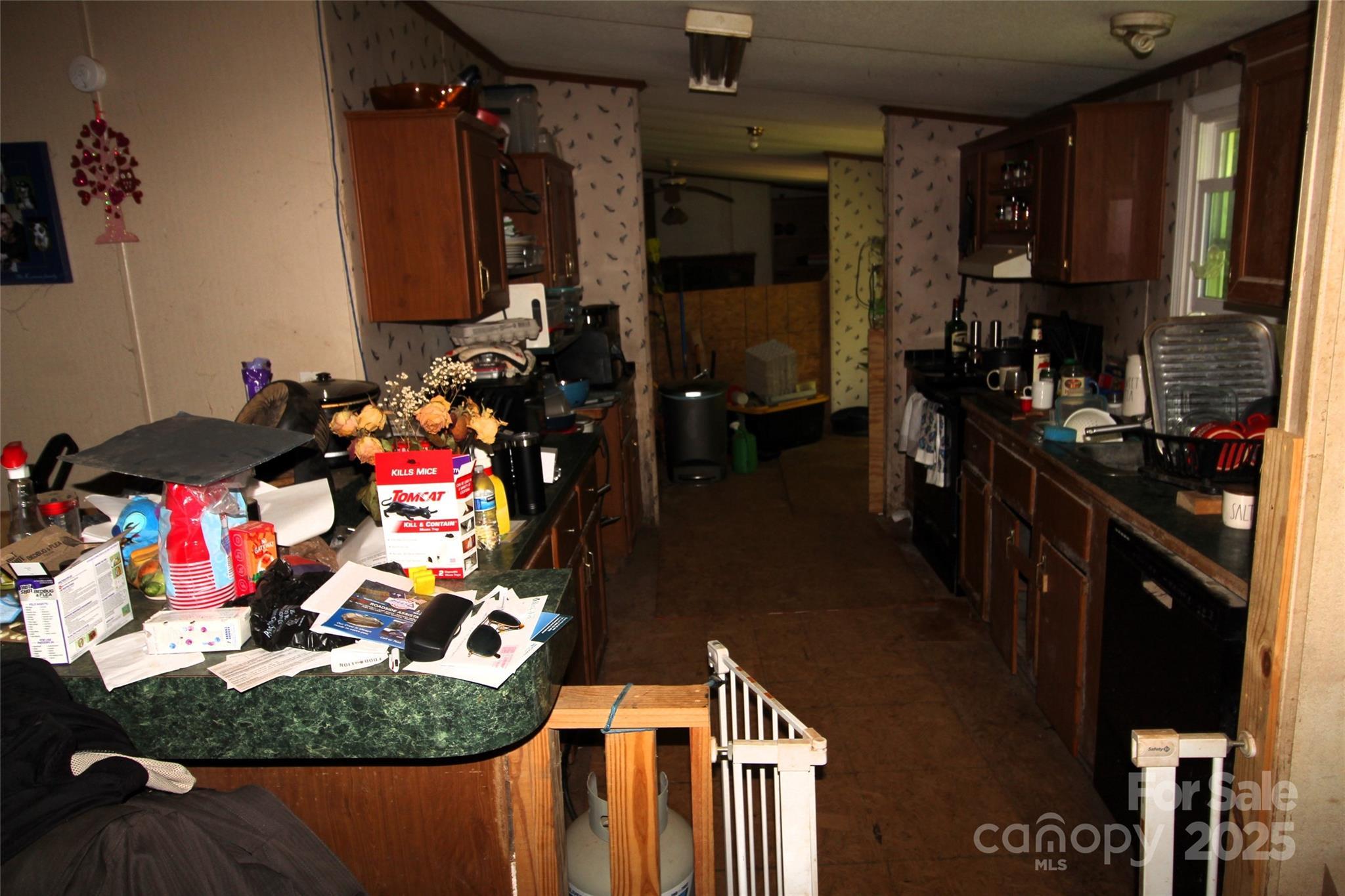 Photo #6