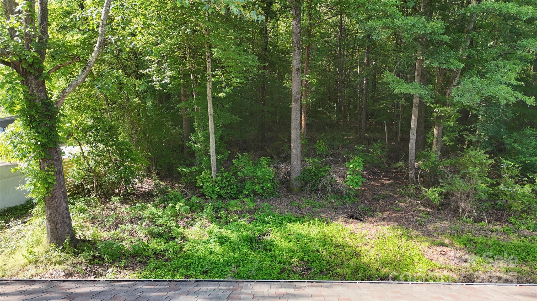 Photo #32
