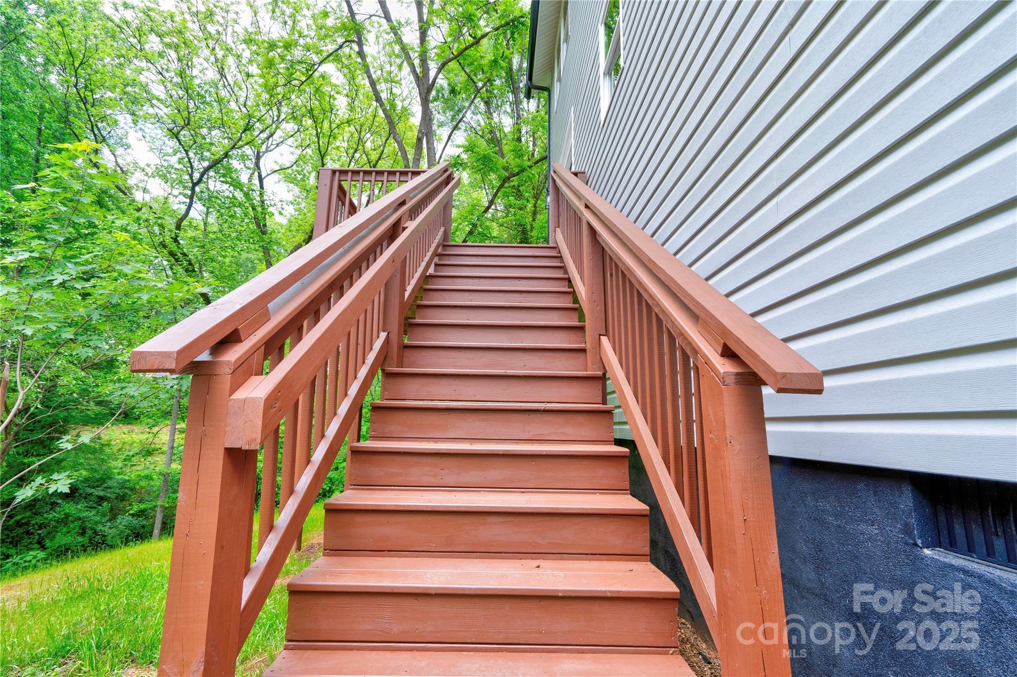 Photo #41