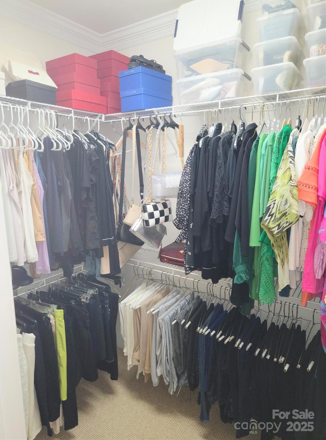 Photo #13