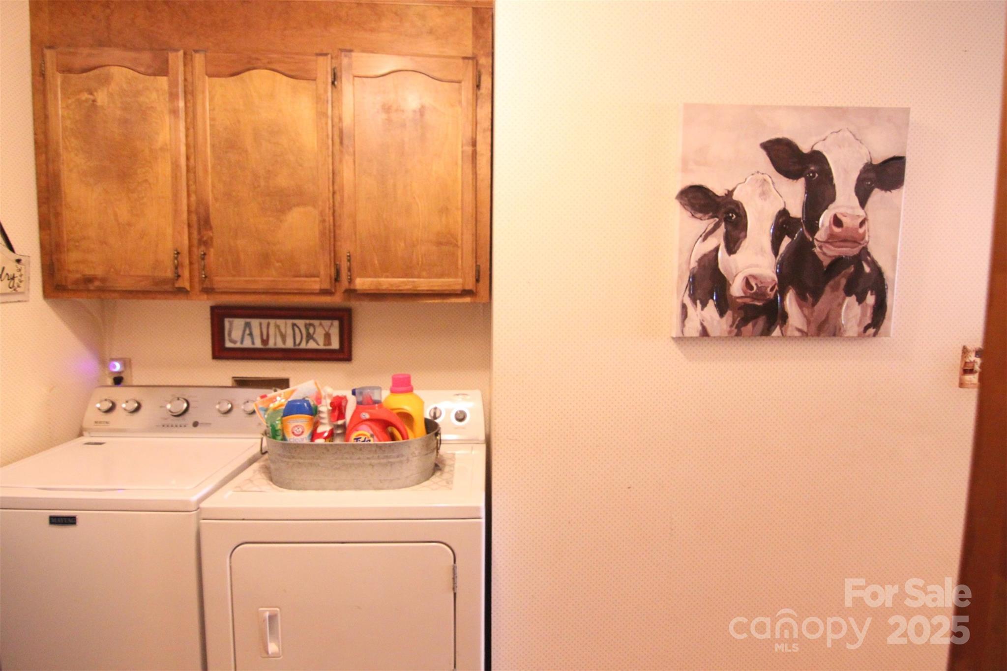 Photo #15