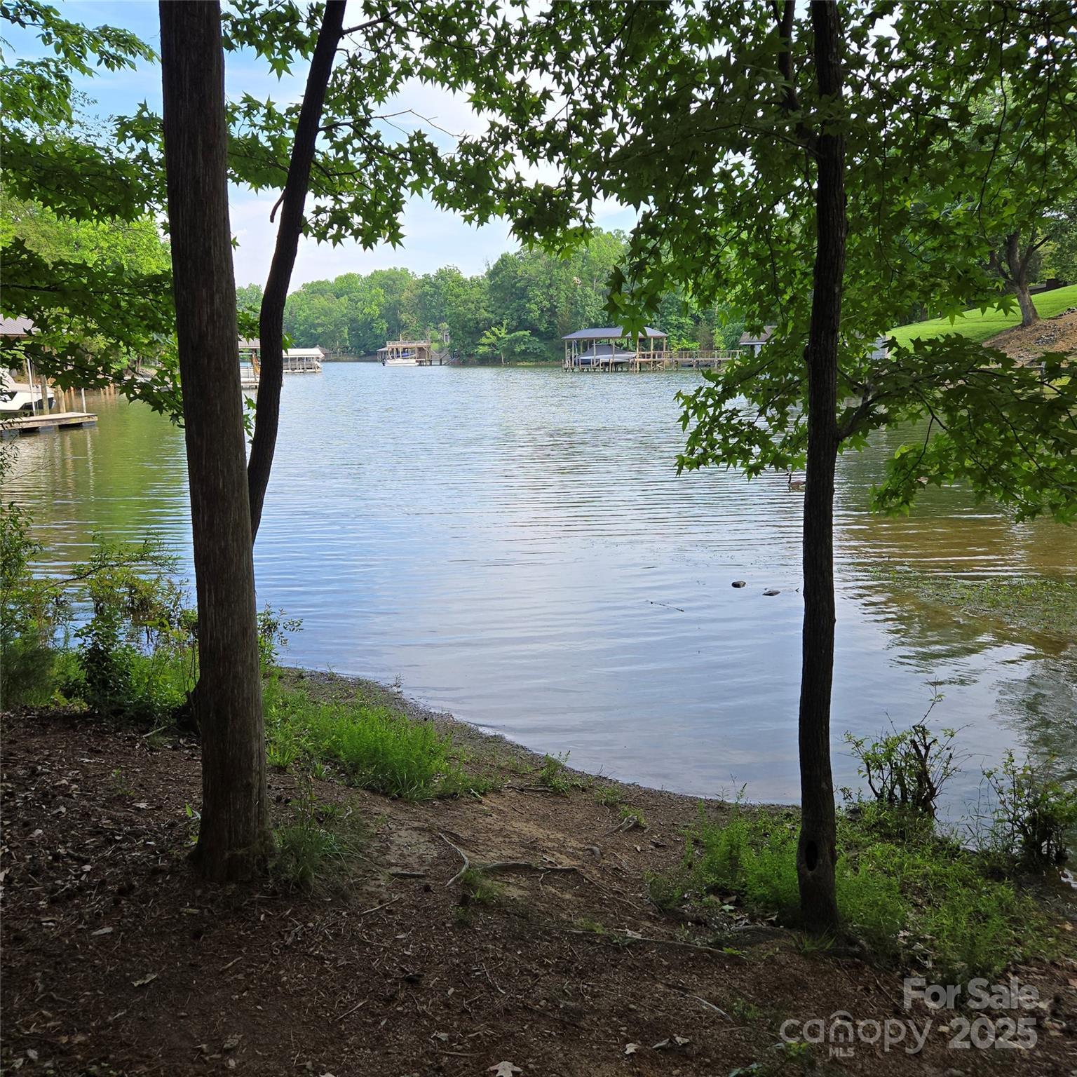 Photo #6