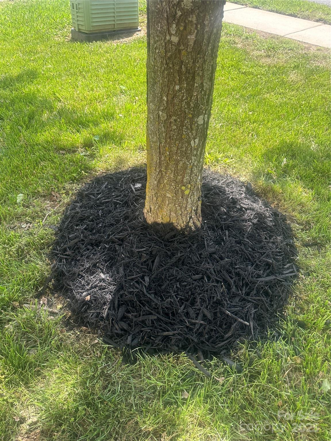 Photo #5