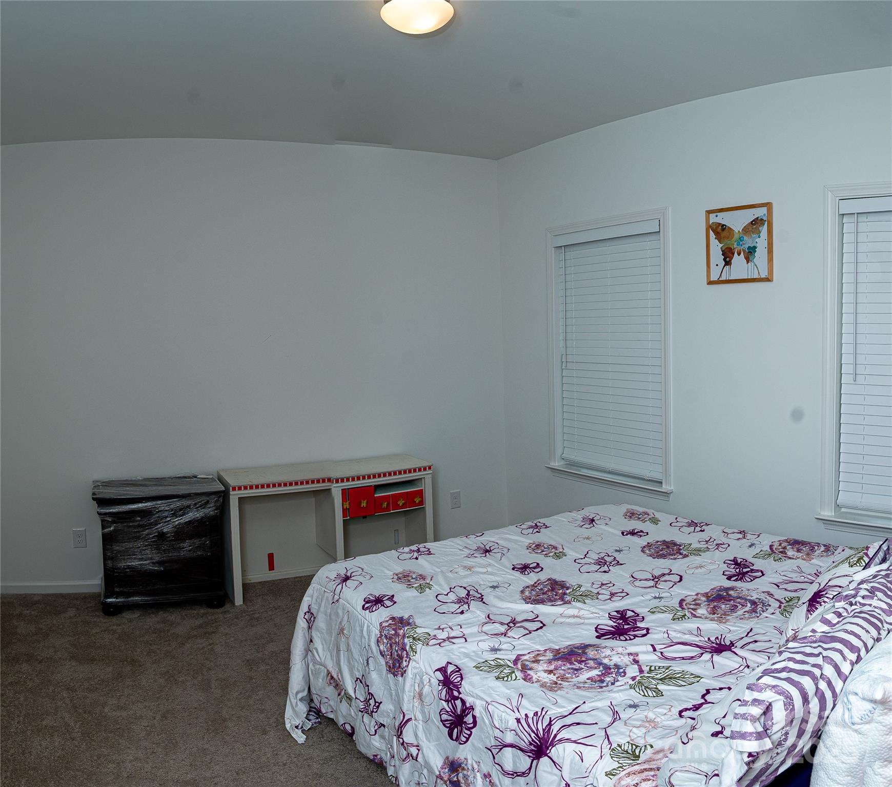 Photo #16