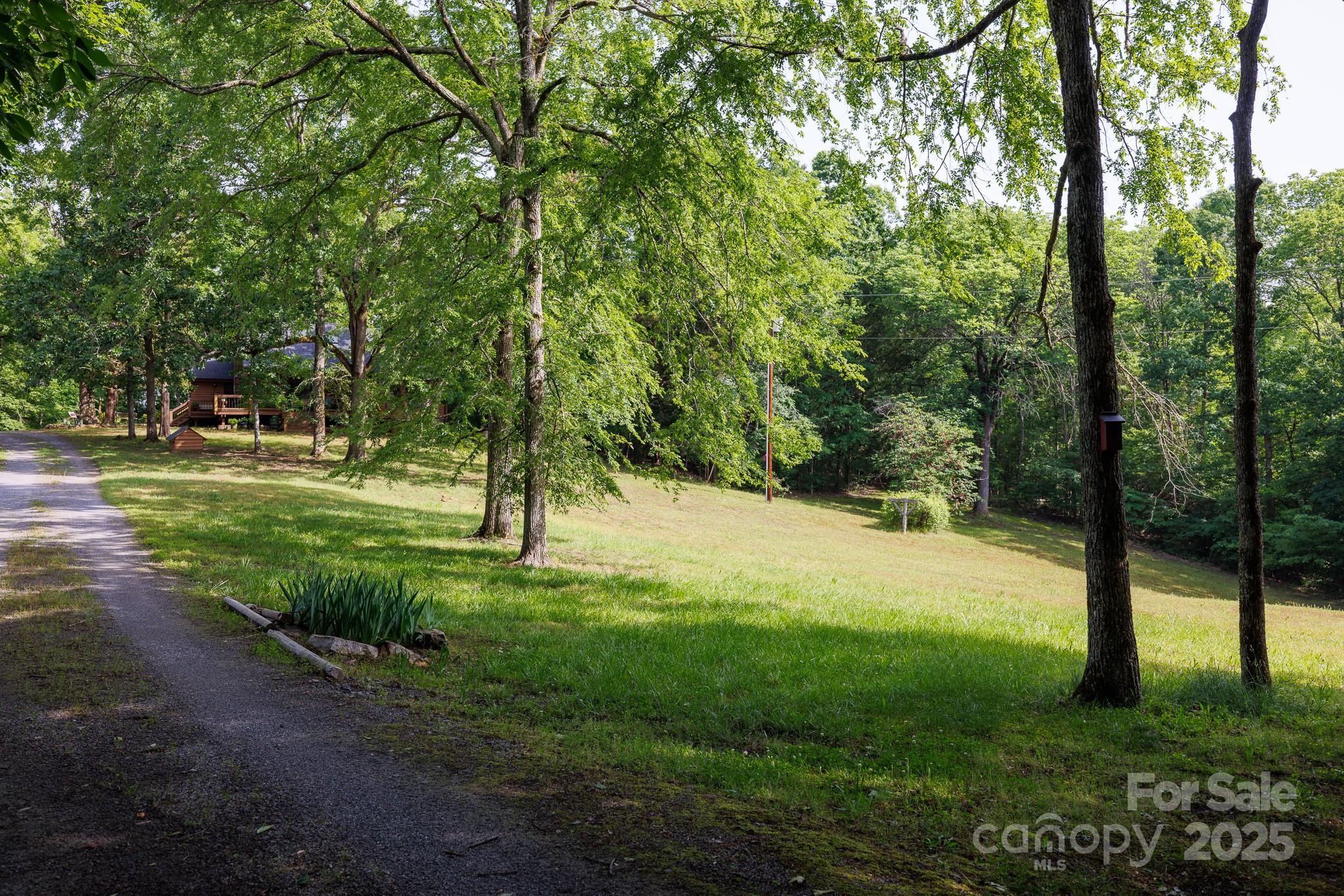 Photo #44