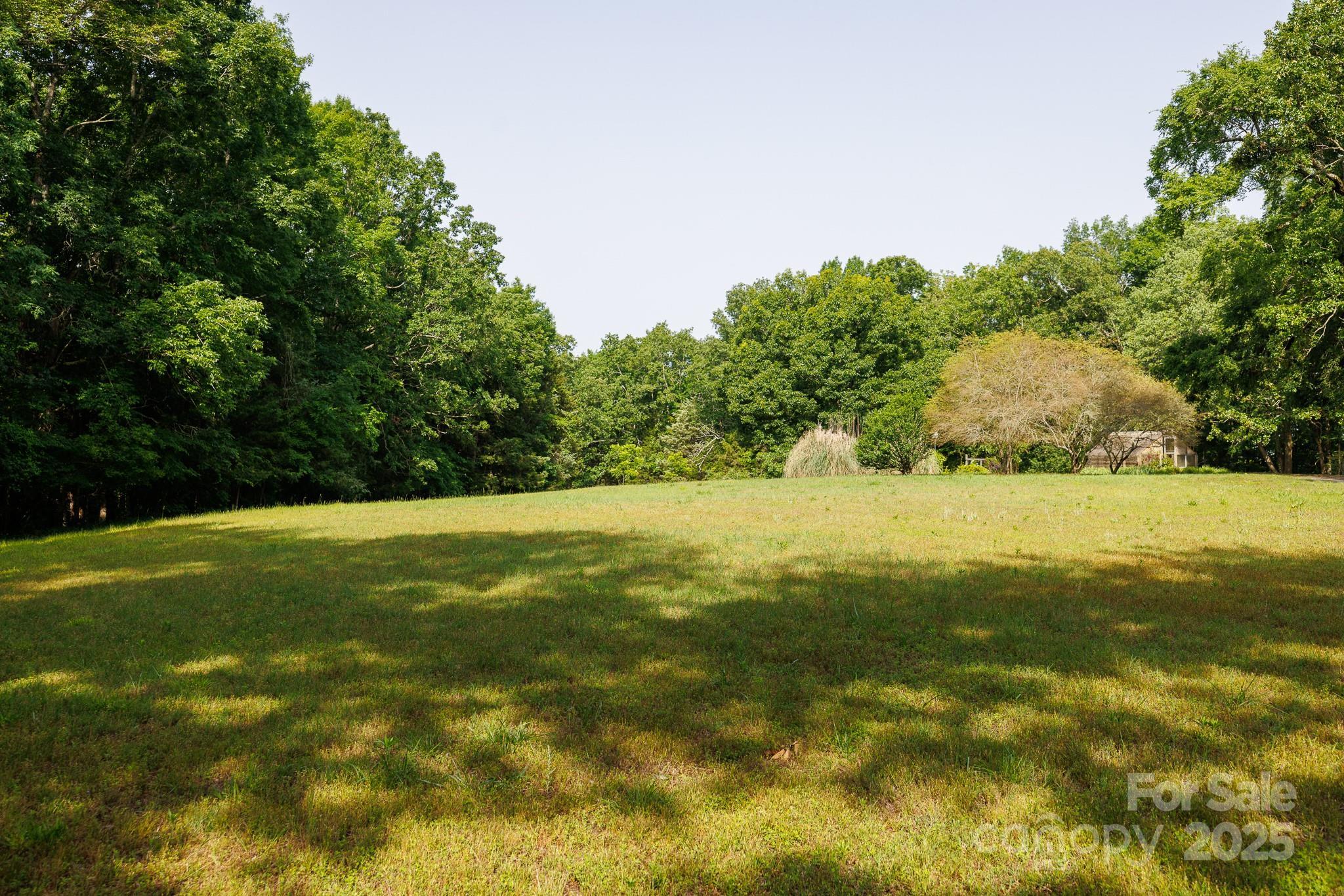 Photo #42