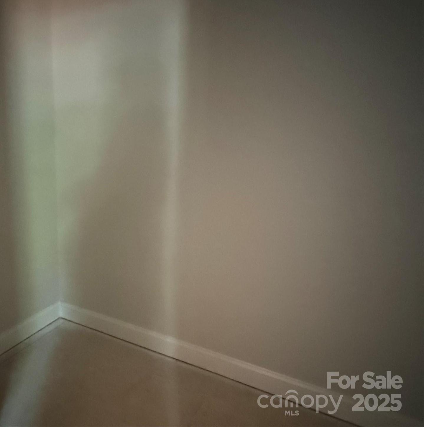 Photo #16