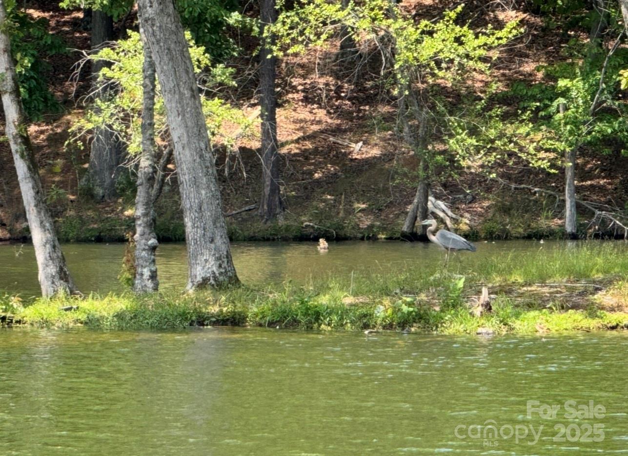 Photo #29