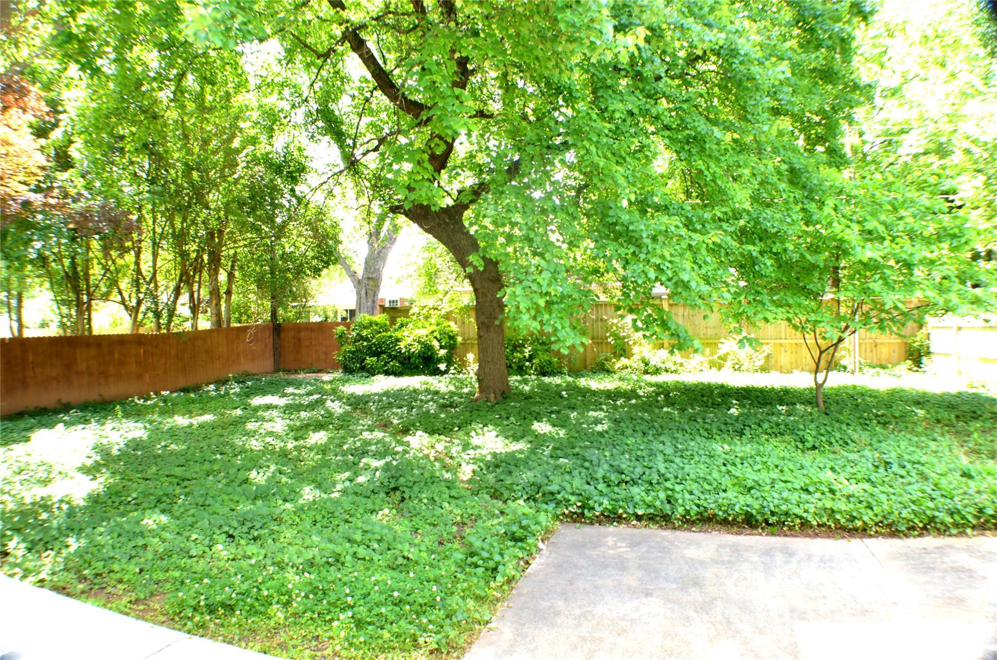 Photo #37