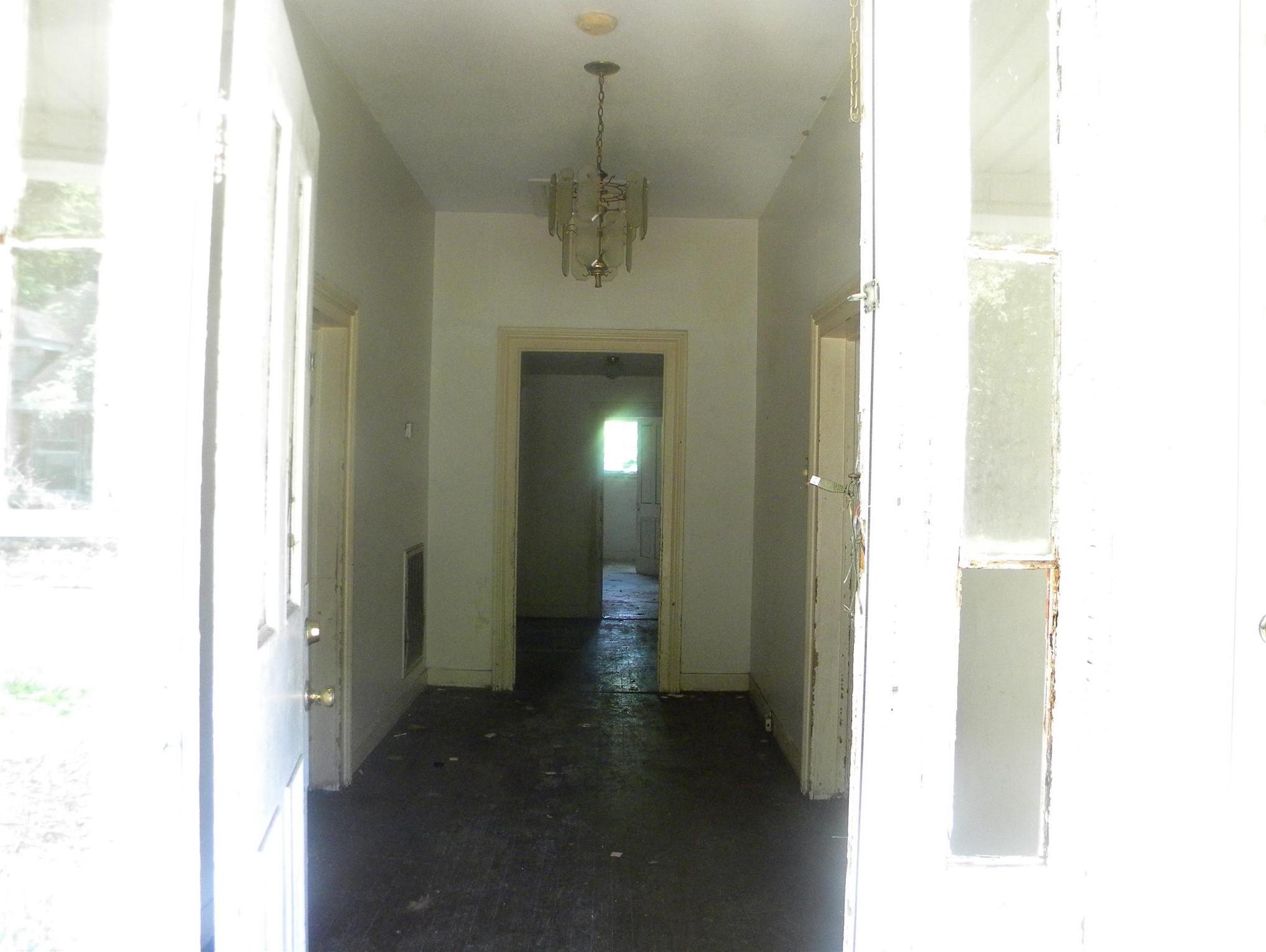 Photo #11