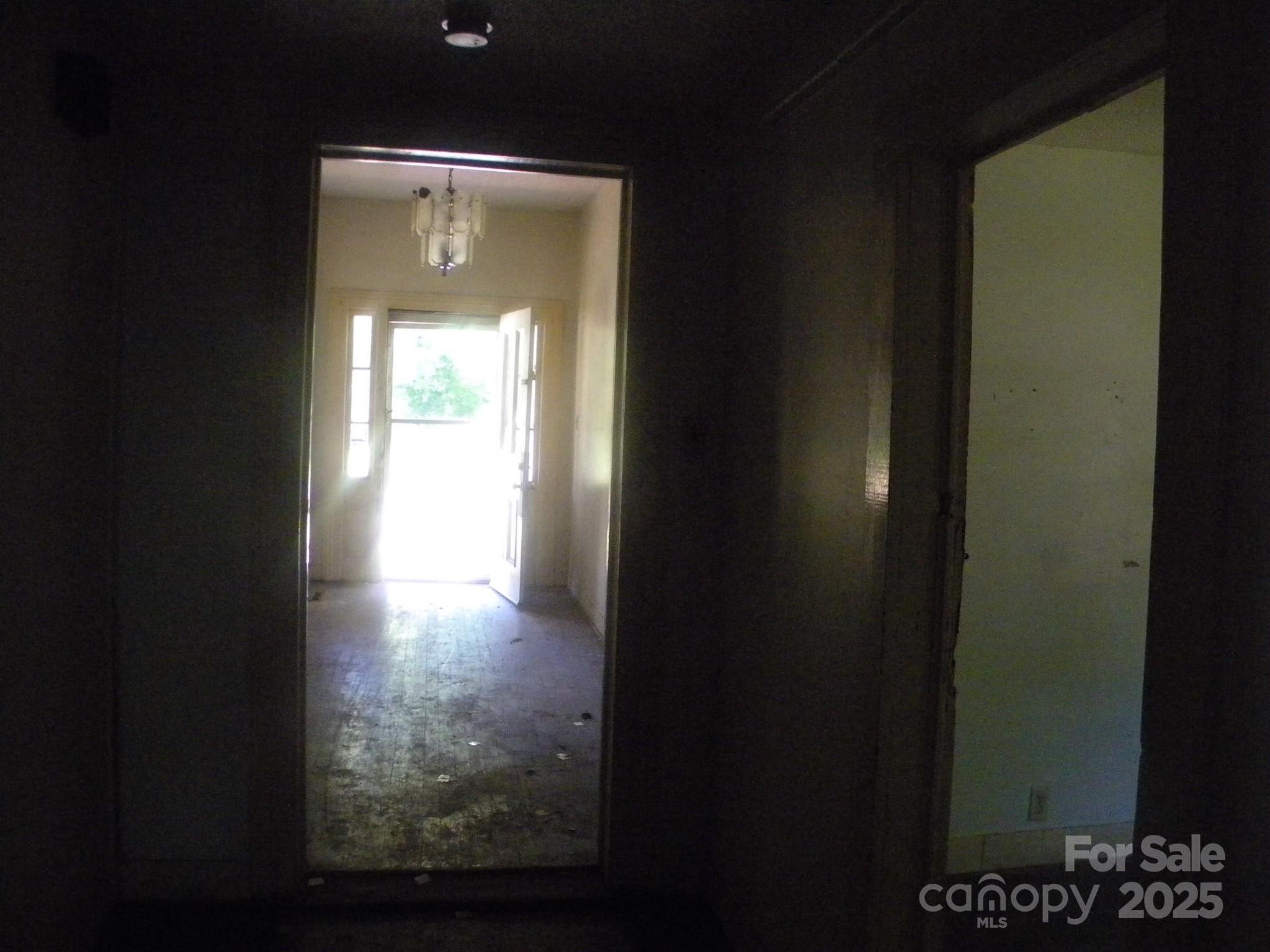 Photo #21