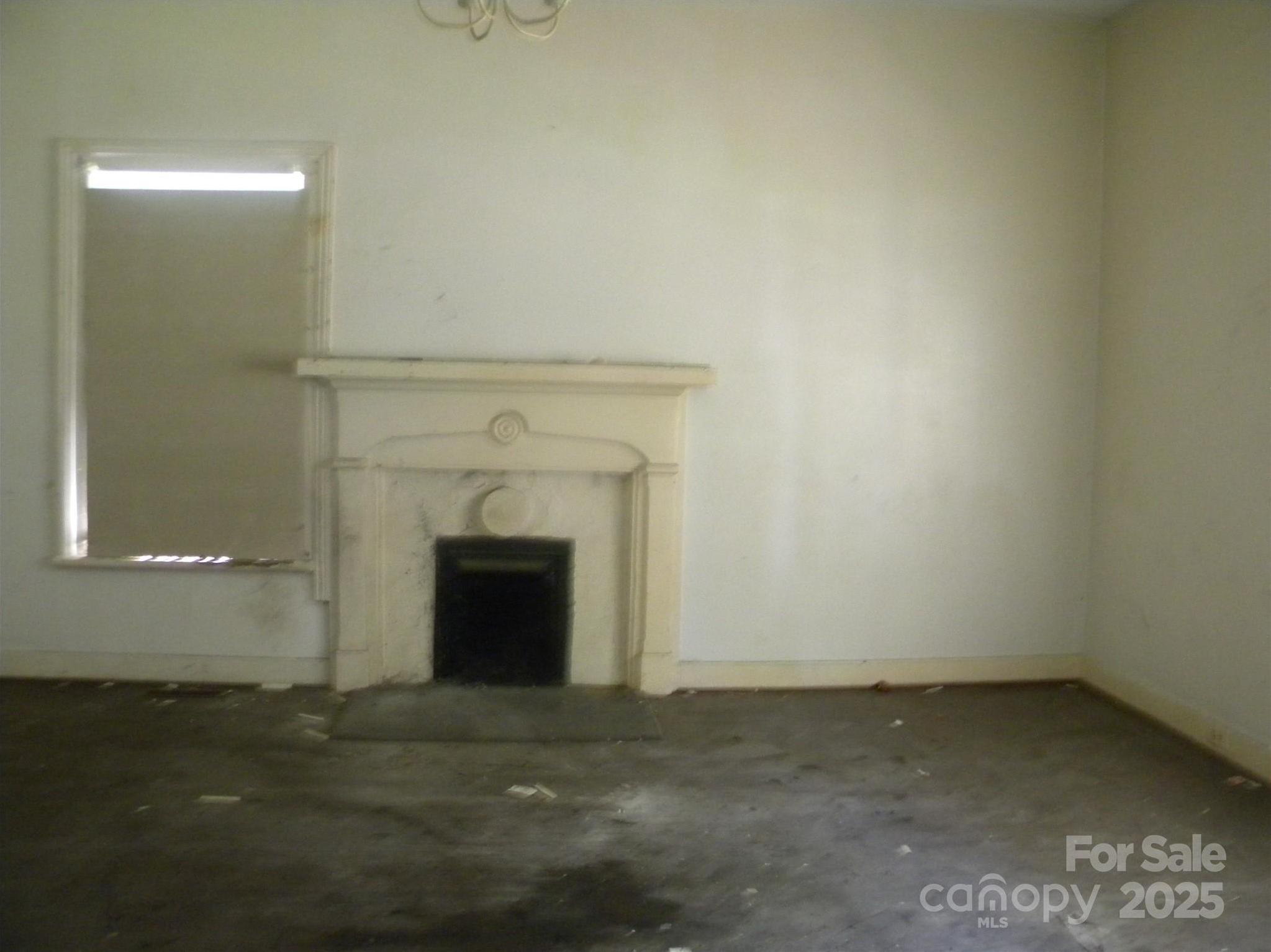 Photo #12