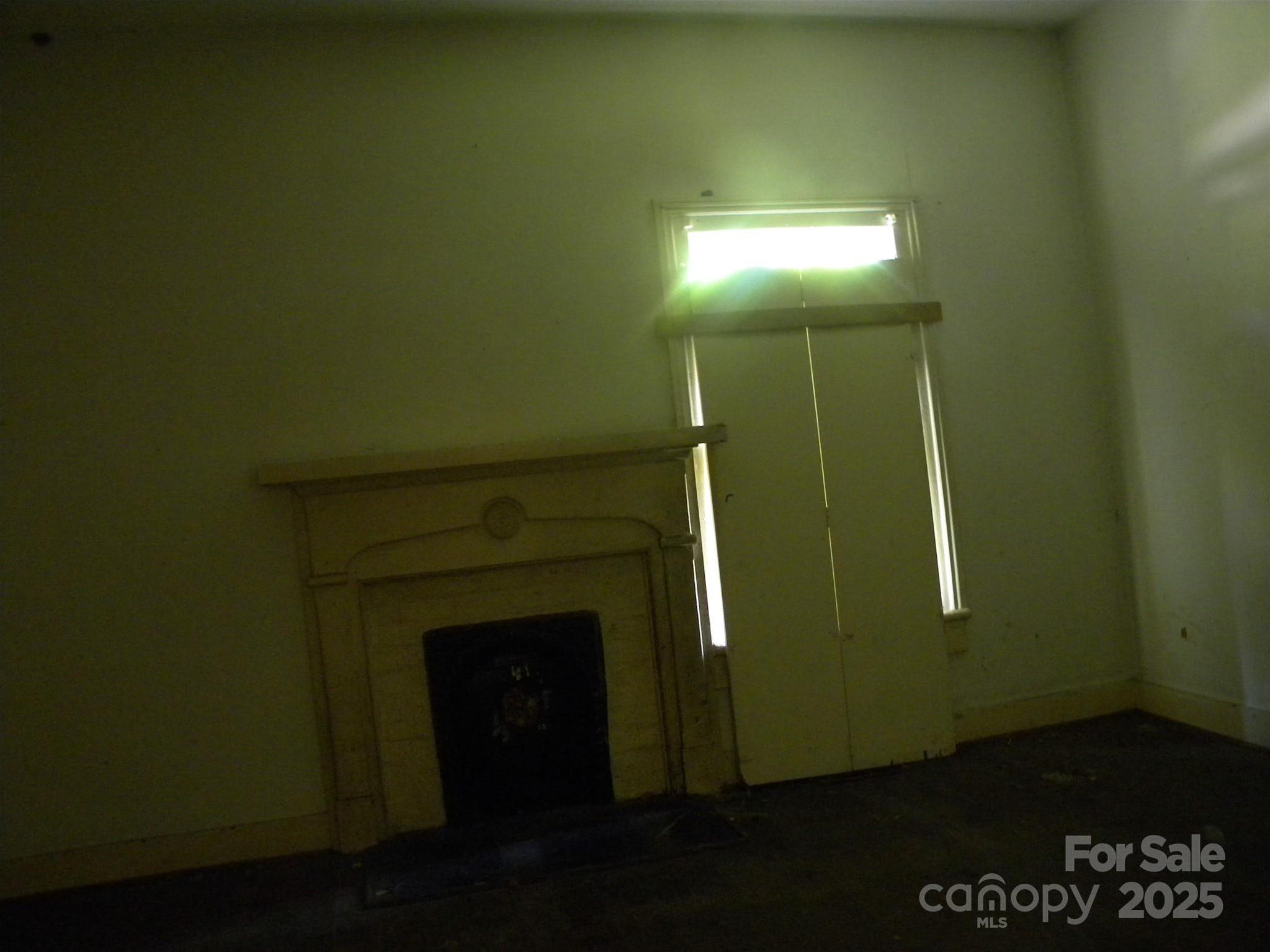 Photo #15