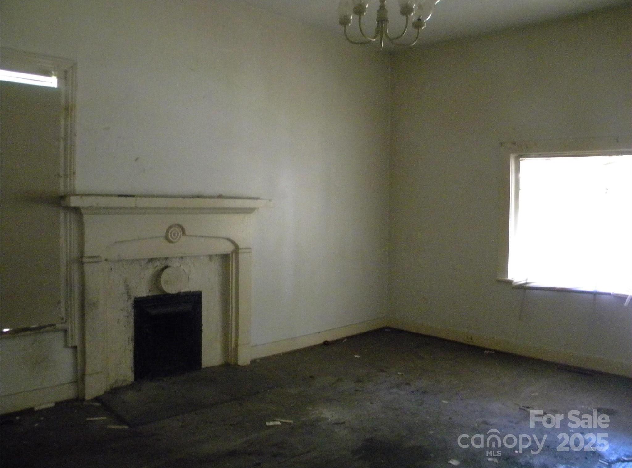 Photo #14