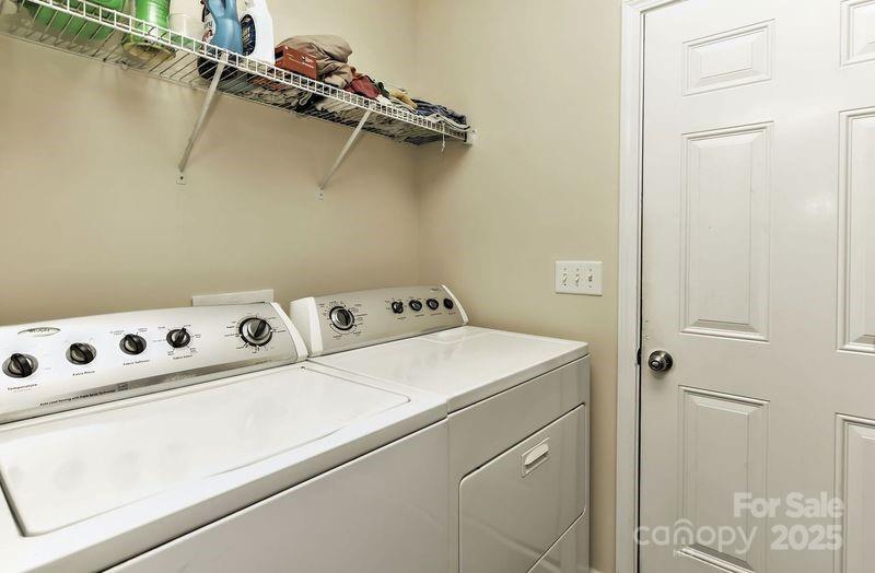 Photo #15