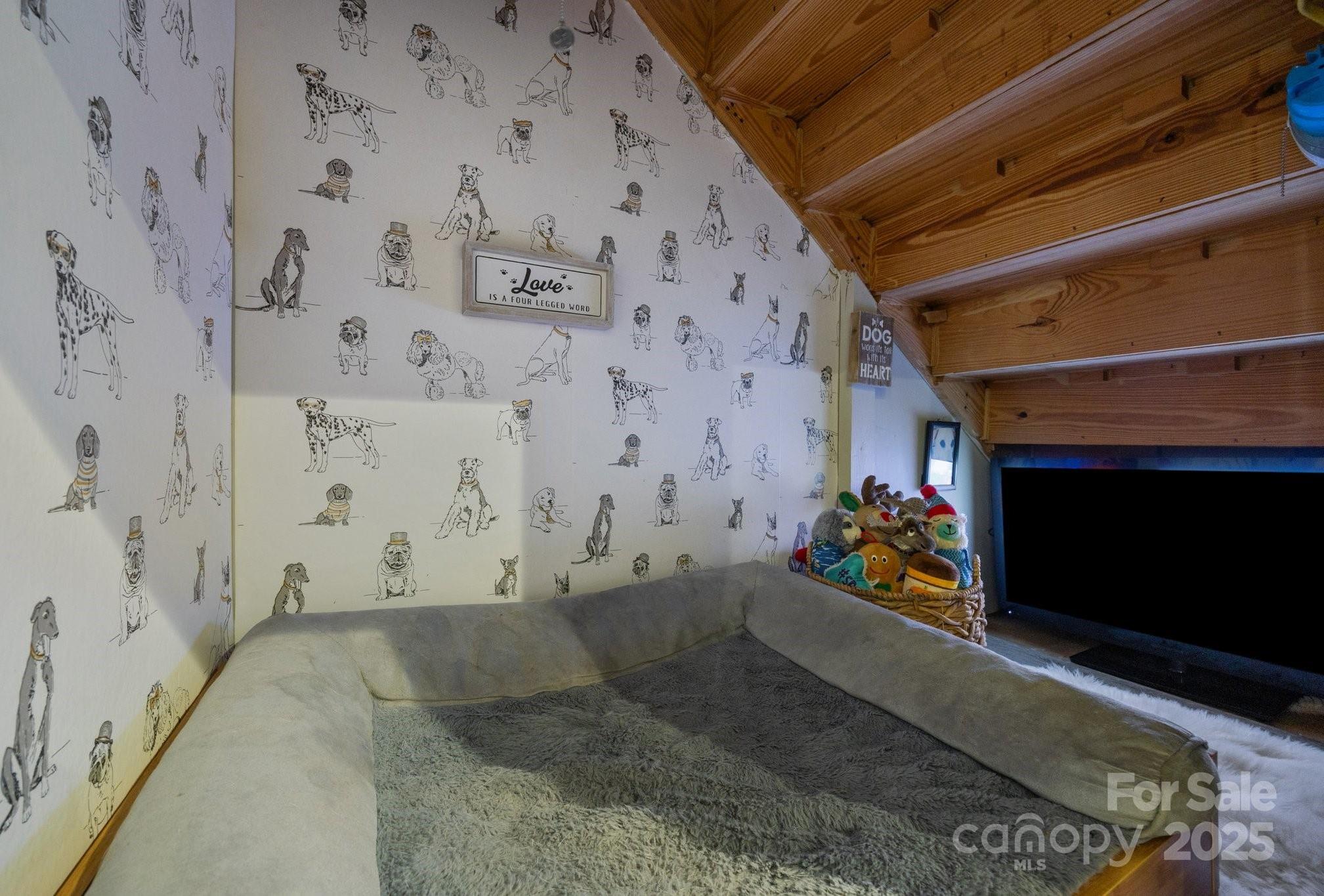 Photo #19