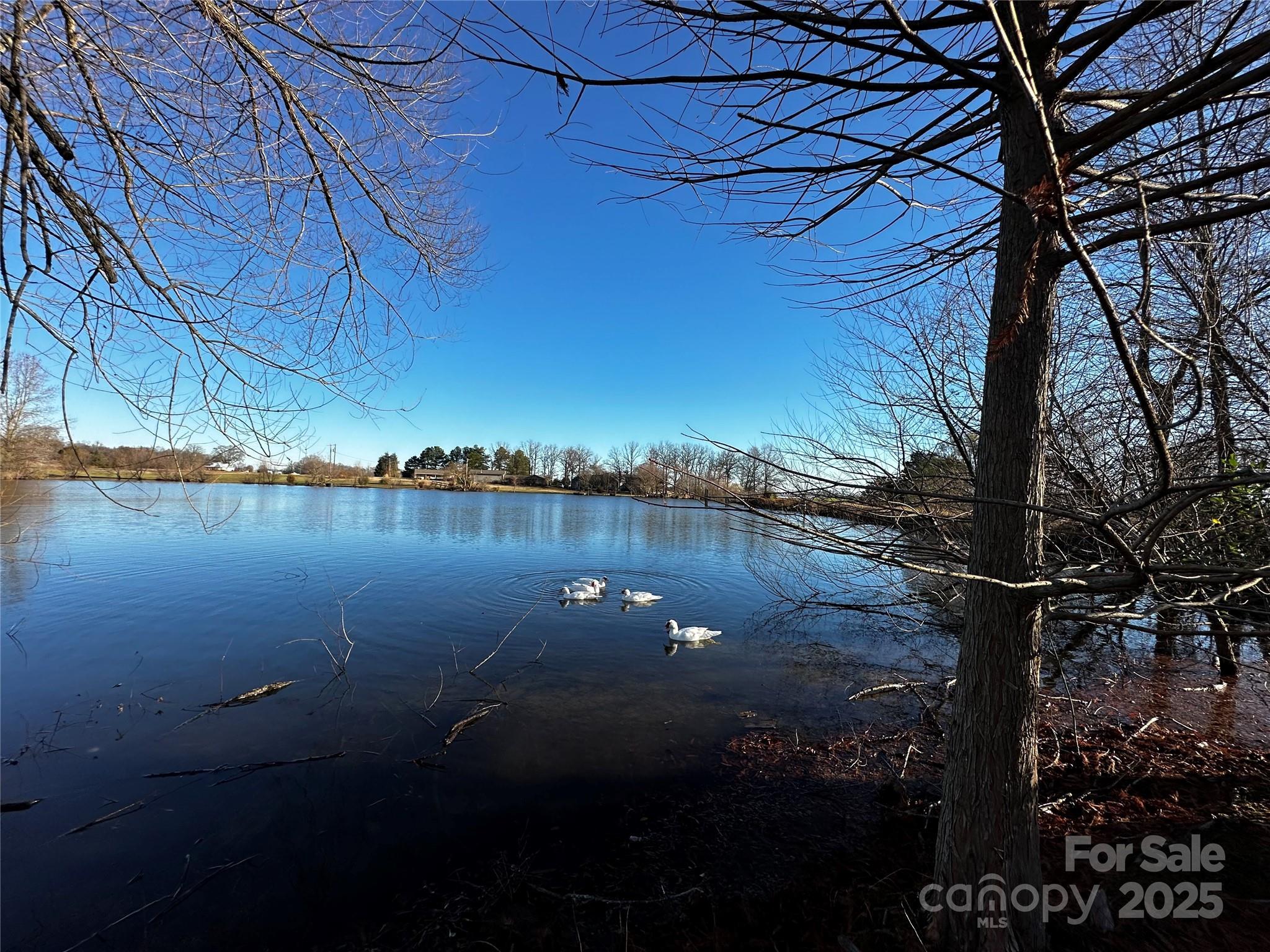 Photo #45