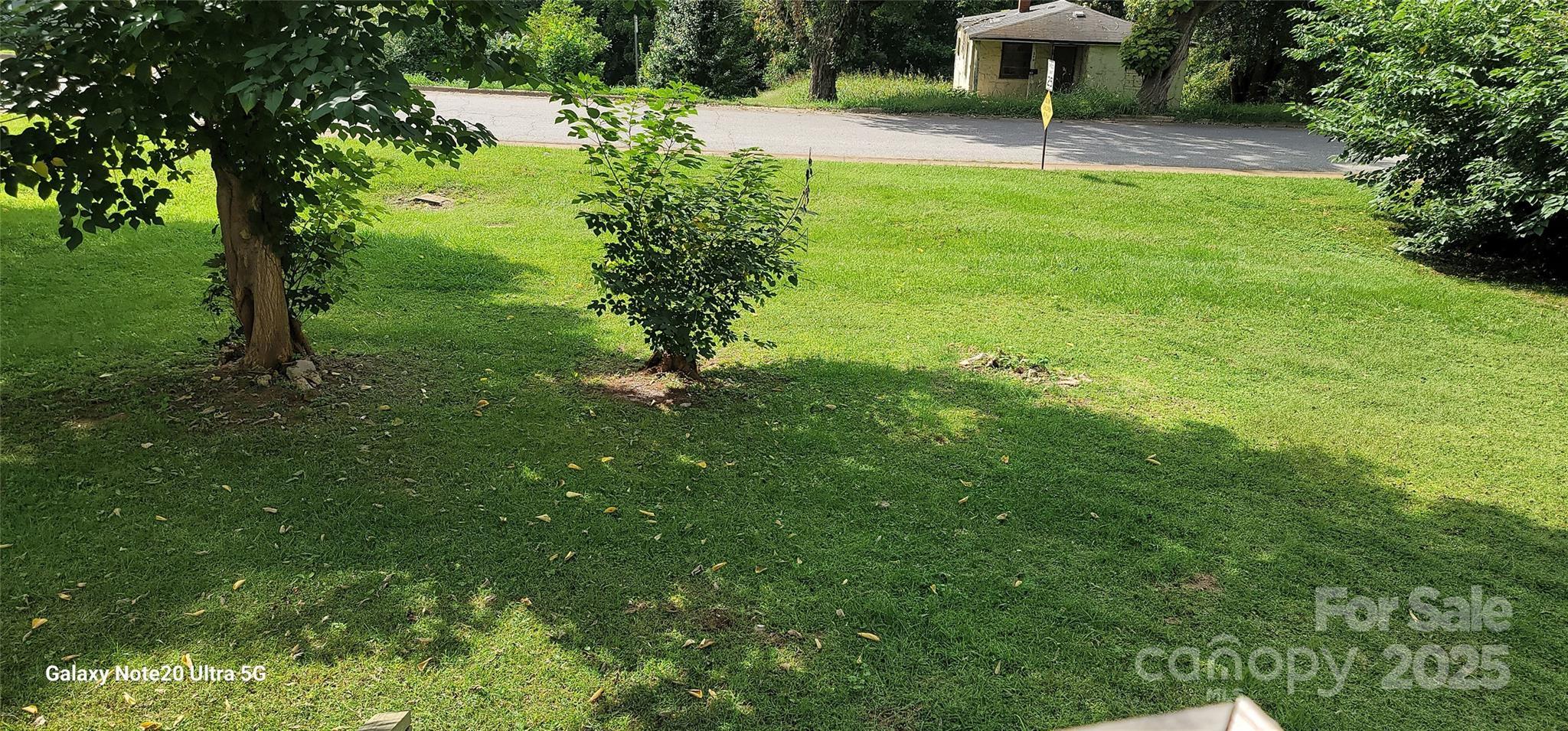 Photo #17