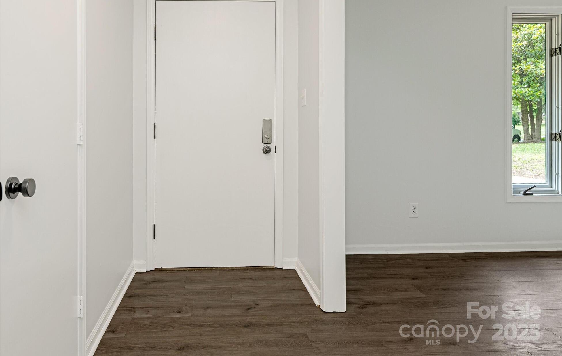 Photo #3