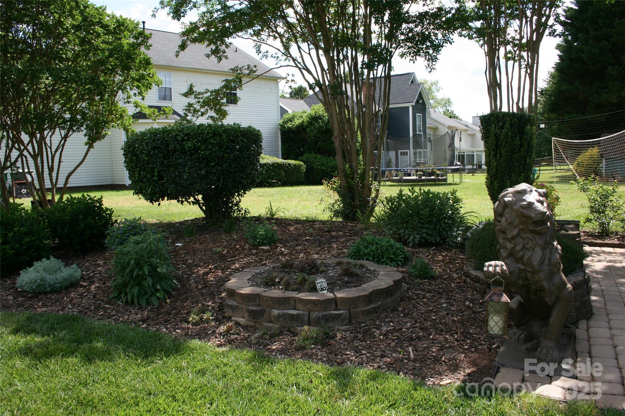 Photo #15