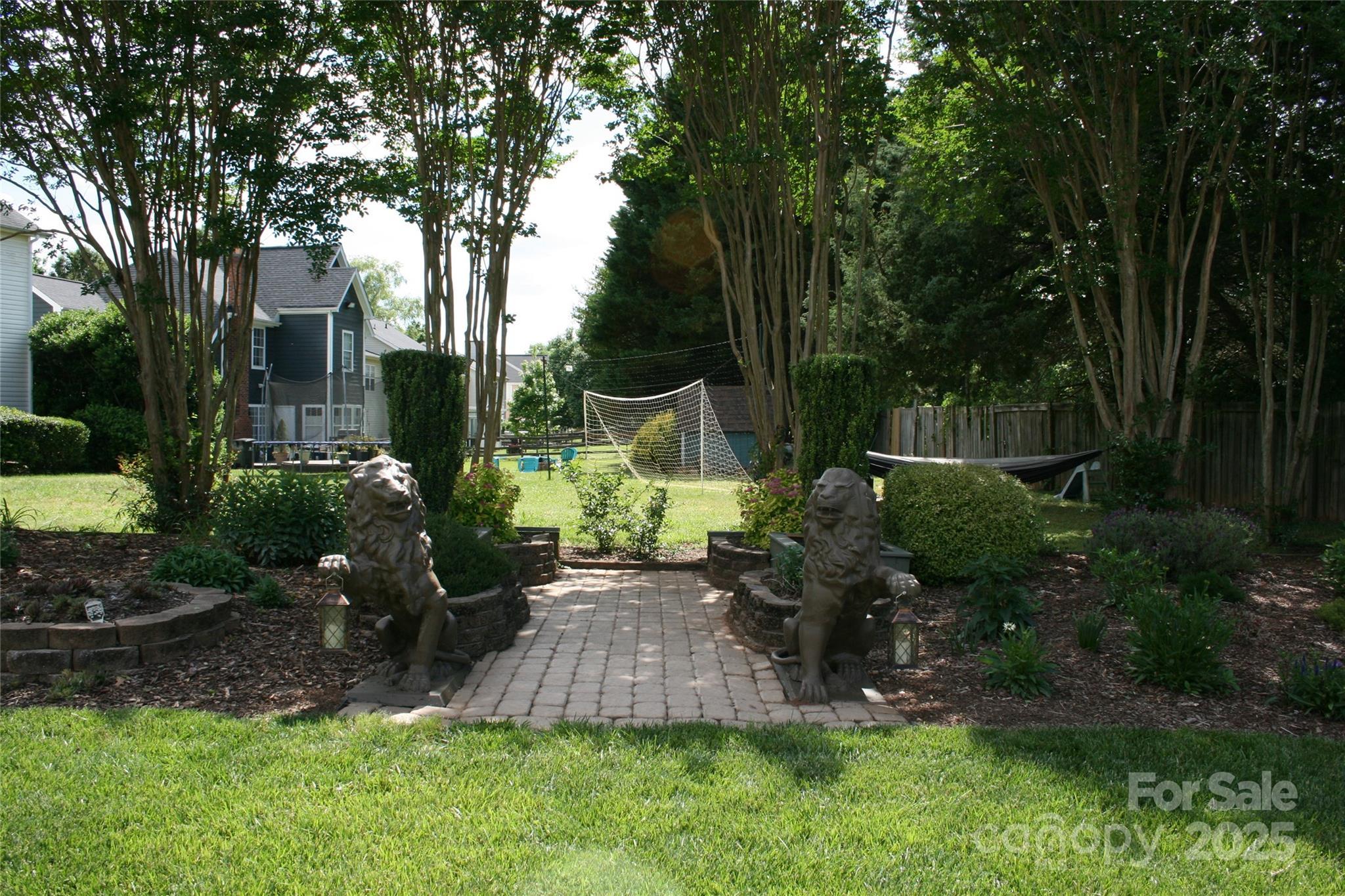 Photo #13