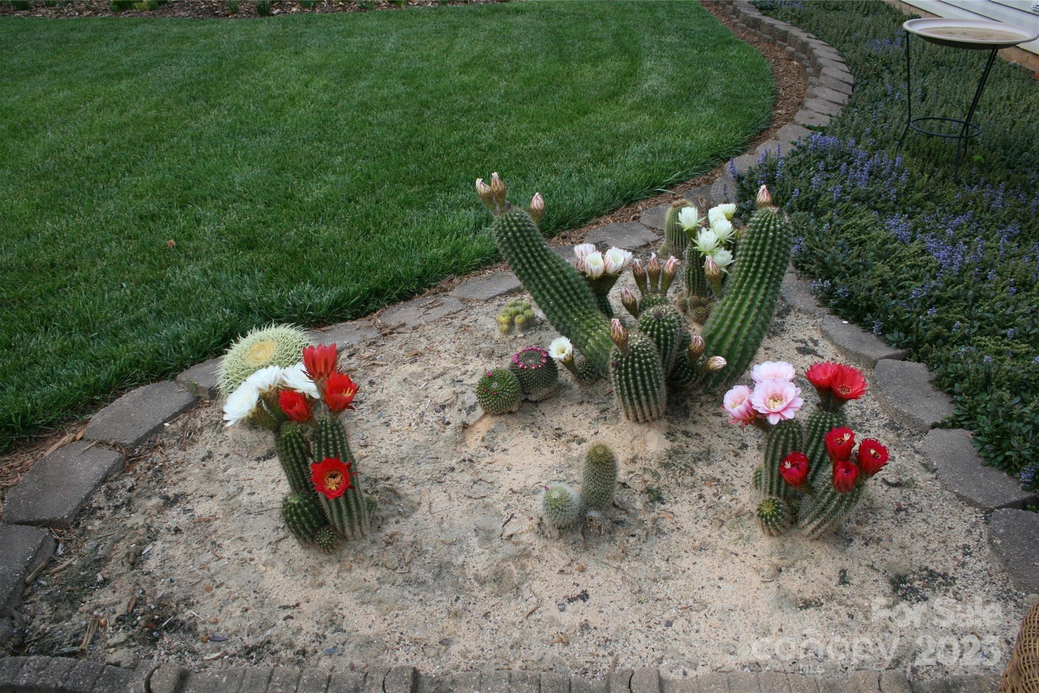 Photo #20