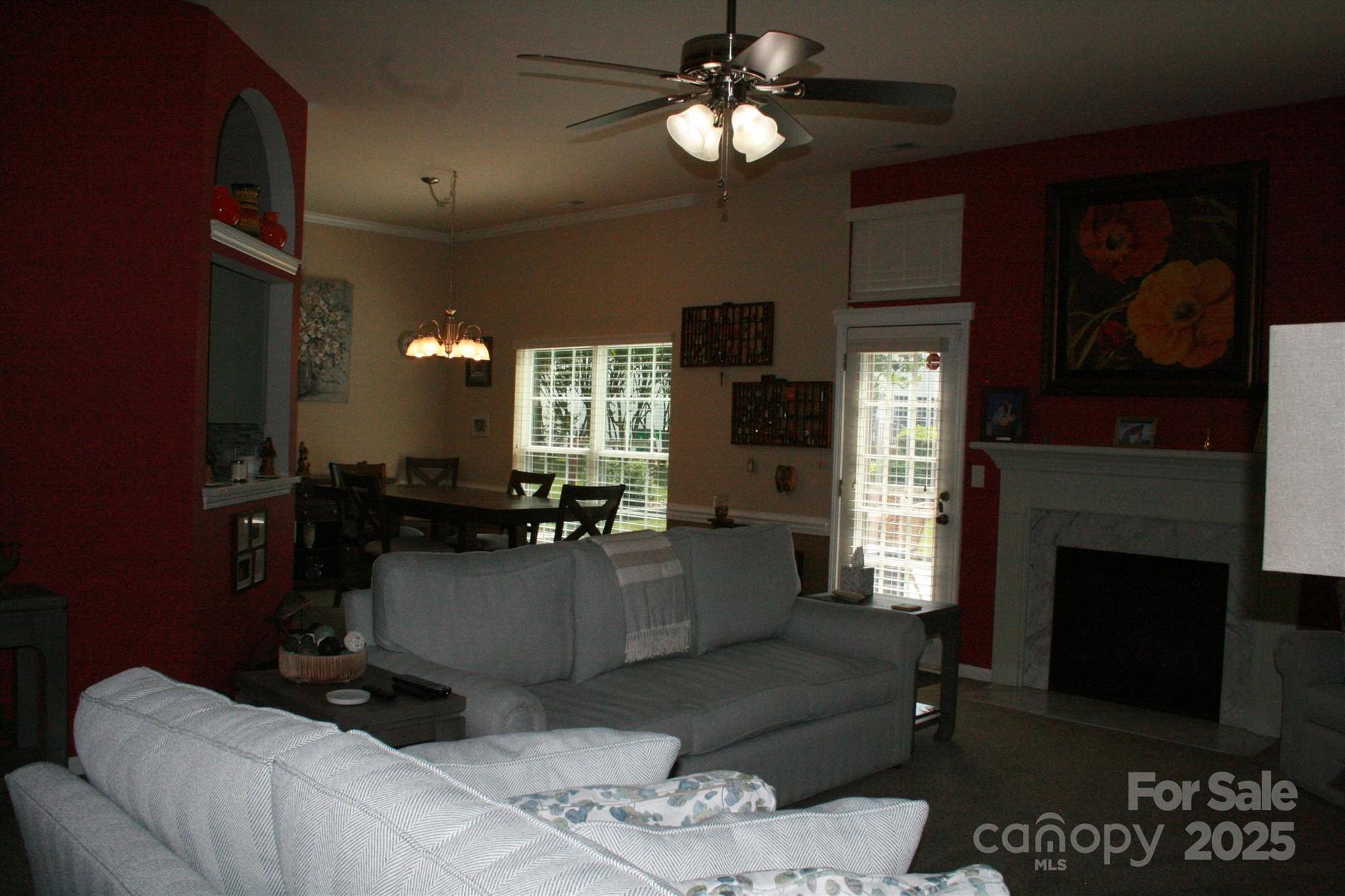 Photo #24