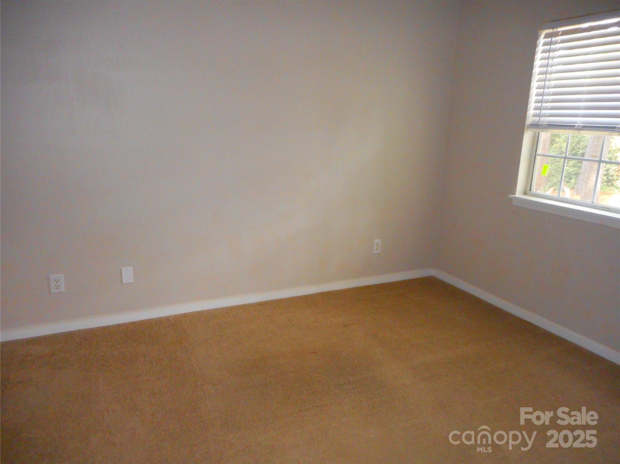 Photo #20